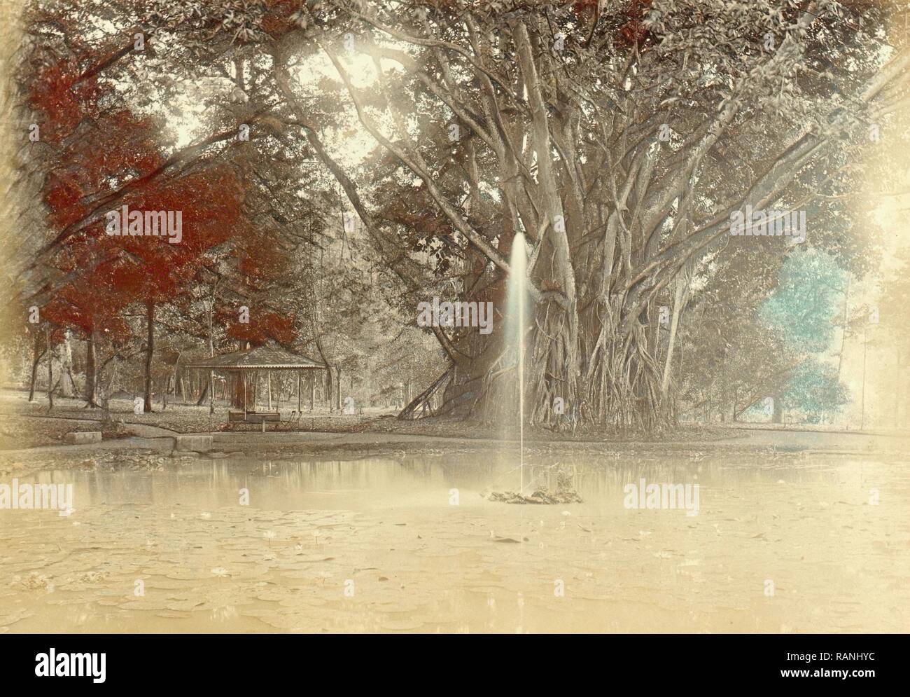 Parco con un laghetto con un grande albero nelle Indie orientali olandesi, anonimo, c. 1895 - c. 1905. Reinventato da Gibon. Classic reinventato Foto Stock