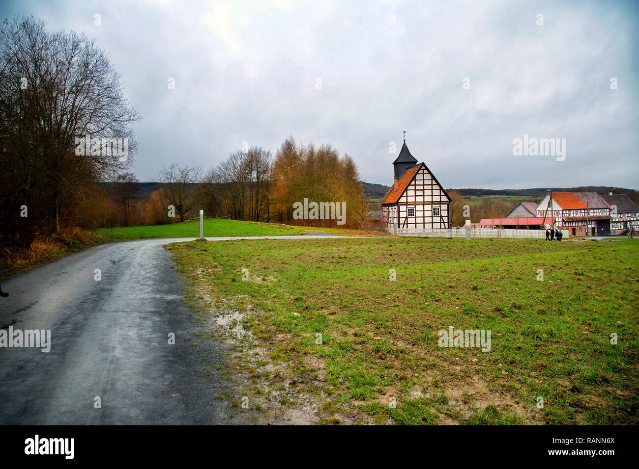 Erba verde vicino alla strada e casa tedesca foto Foto Stock