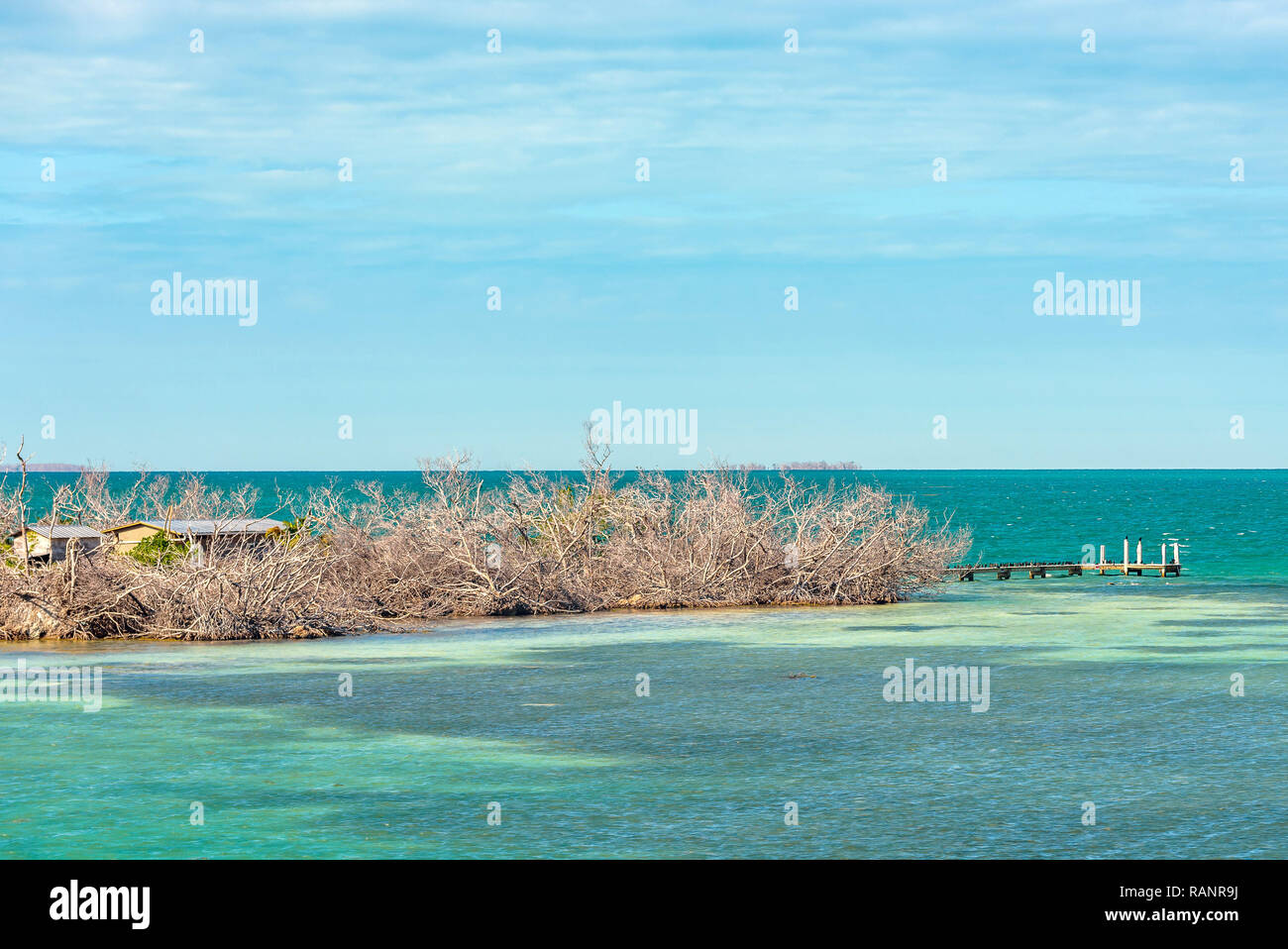 Poco denaro chiave, una piccola isola deserta circondate da bellissime crystal clear e acqua del mare turchese. Florida Keys. Foto Stock