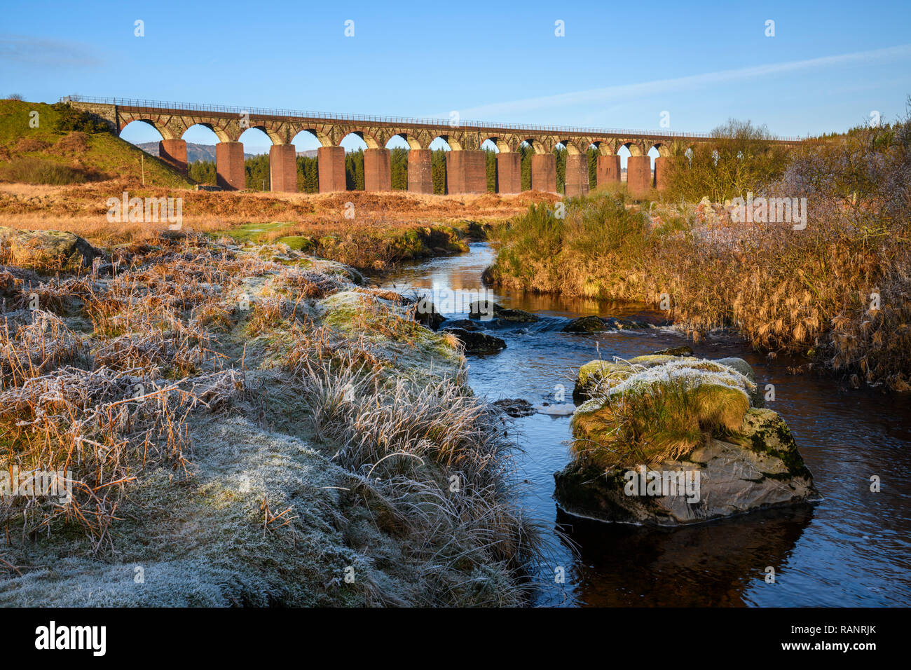 Dell'Acqua grande flotta del viadotto, vicino a Gatehouse of Fleet, Dumfries & Galloway, Scozia Foto Stock