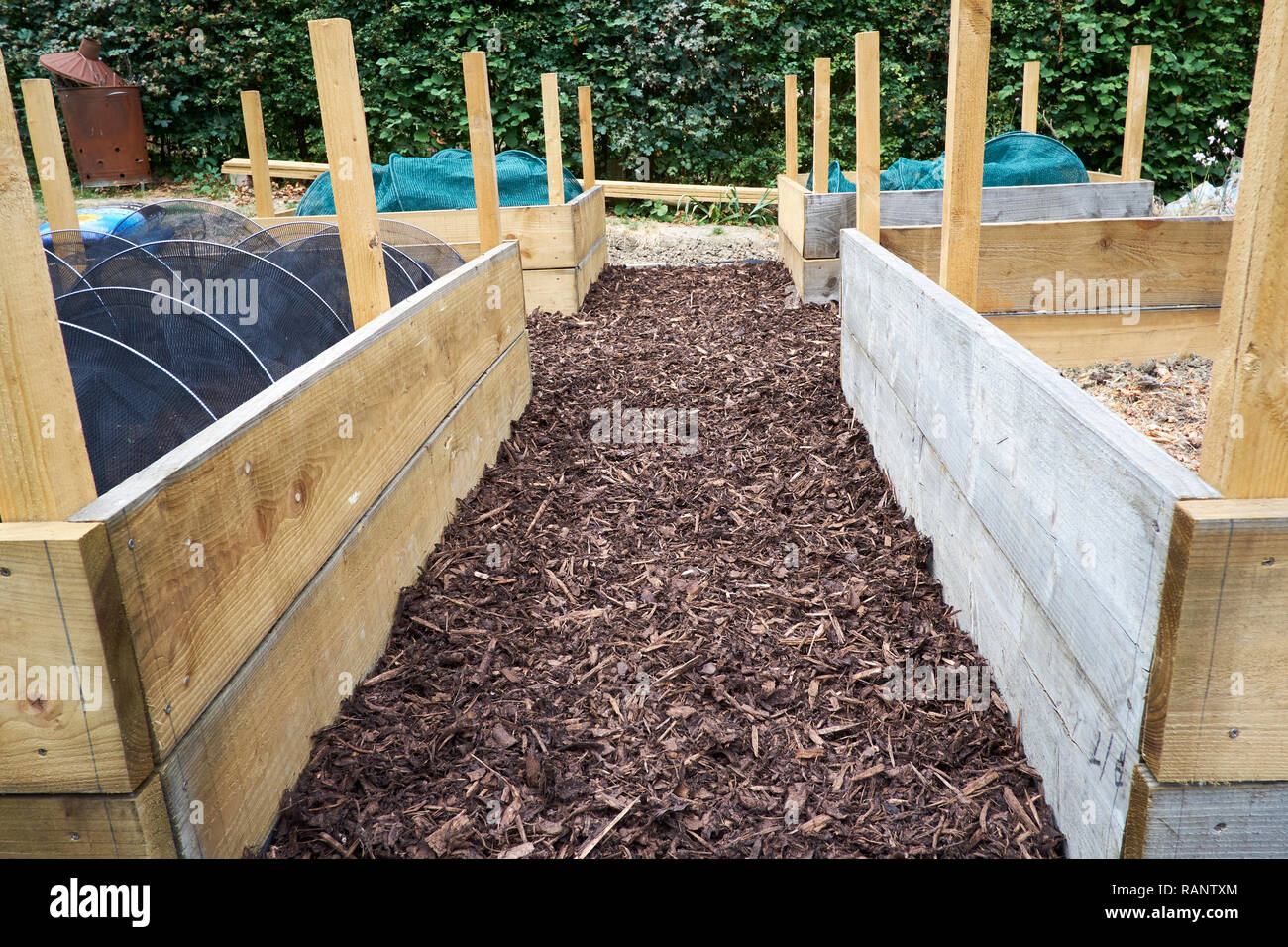 Legno letto sollevata la costruzione in un orto, UK. Foto Stock
