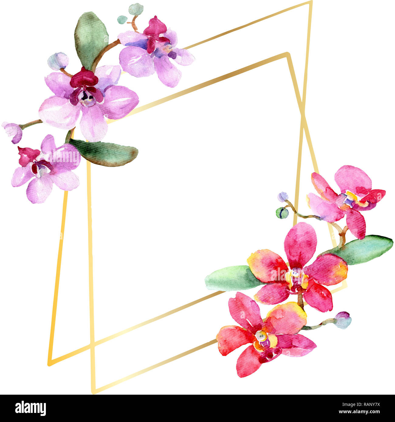 Orchid floreale di fiori botanica. Wild molla a balestra di fiori selvaggi isolati. Acquerello illustrazione dello sfondo impostato. Disegno ad acquerello fashion aquarelle è Foto Stock