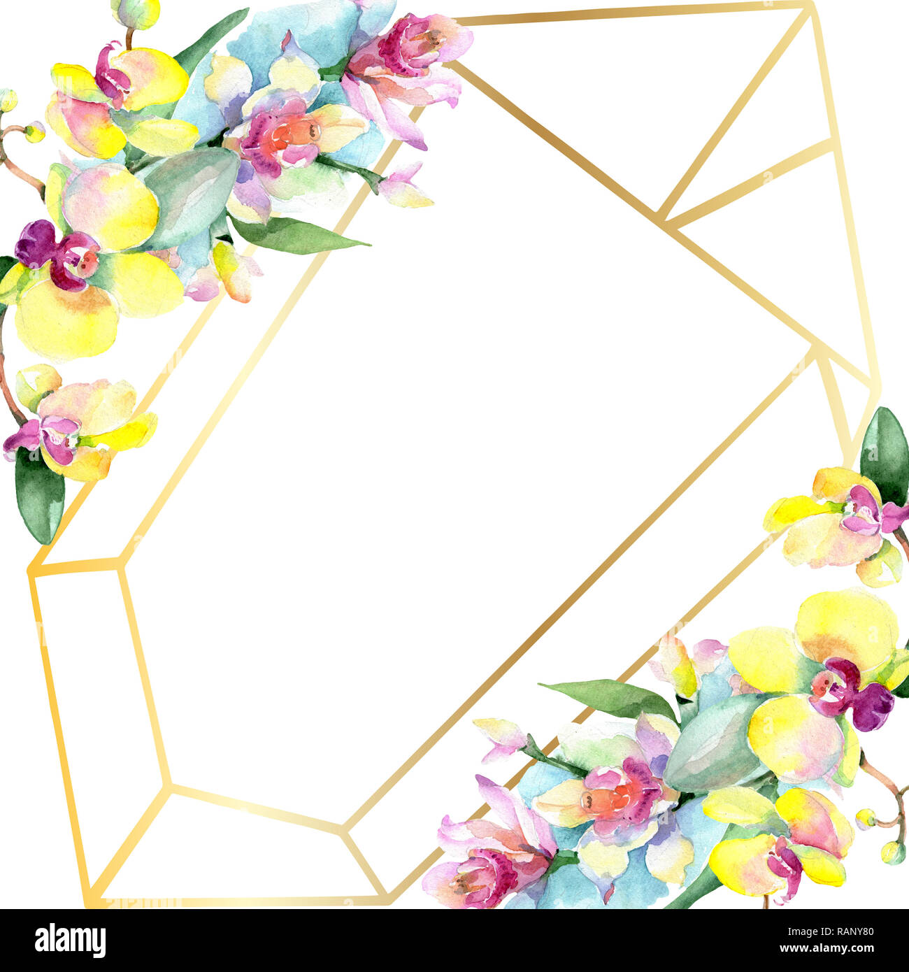 Orchid floreale di fiori botanica. Wild molla a balestra di fiori selvaggi isolati. Acquerello illustrazione dello sfondo impostato. Disegno ad acquerello fashion aquarelle è Foto Stock