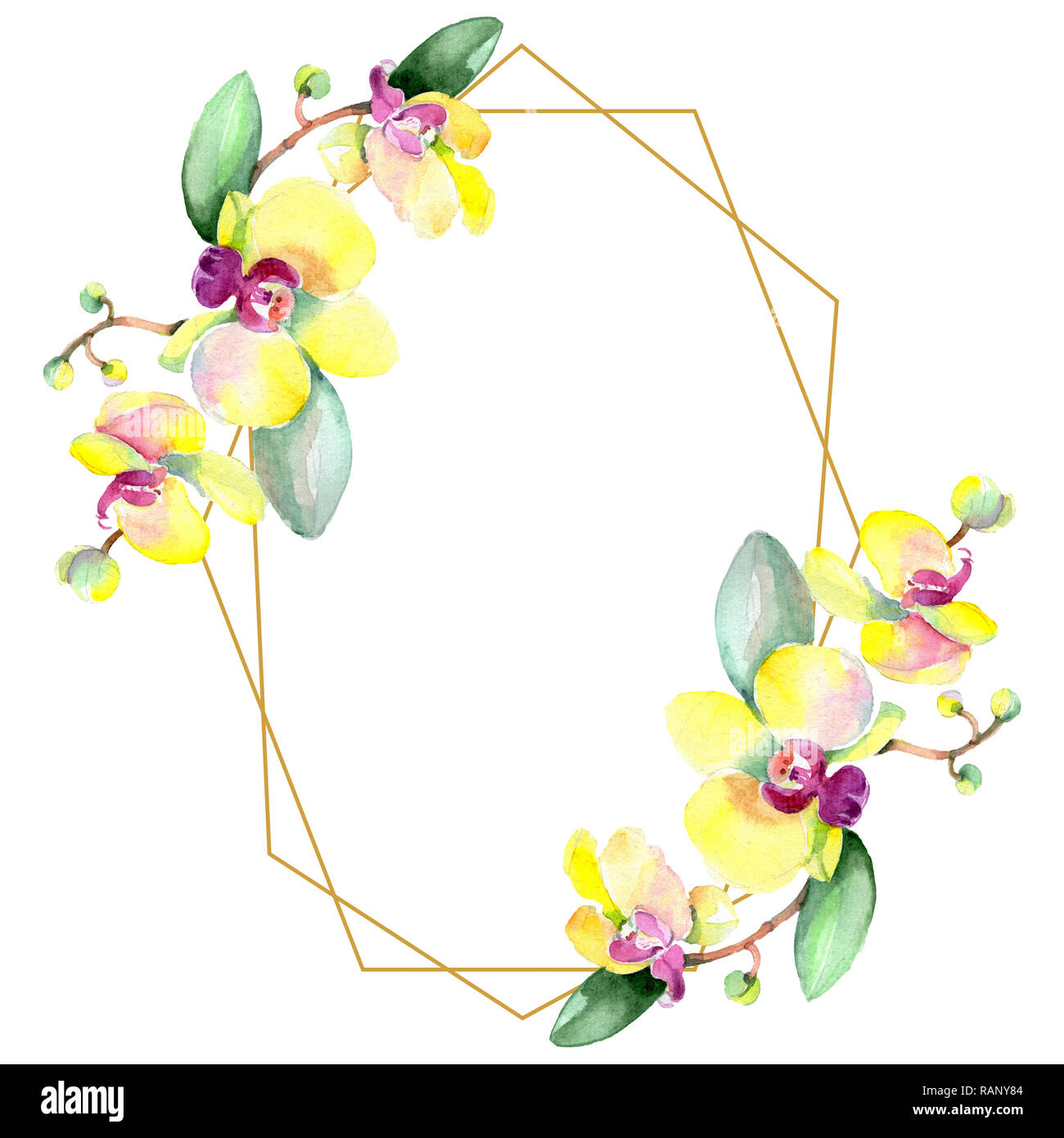 Orchid floreale di fiori botanica. Wild molla a balestra di fiori selvaggi isolati. Acquerello illustrazione dello sfondo impostato. Disegno ad acquerello fashion aquarelle è Foto Stock