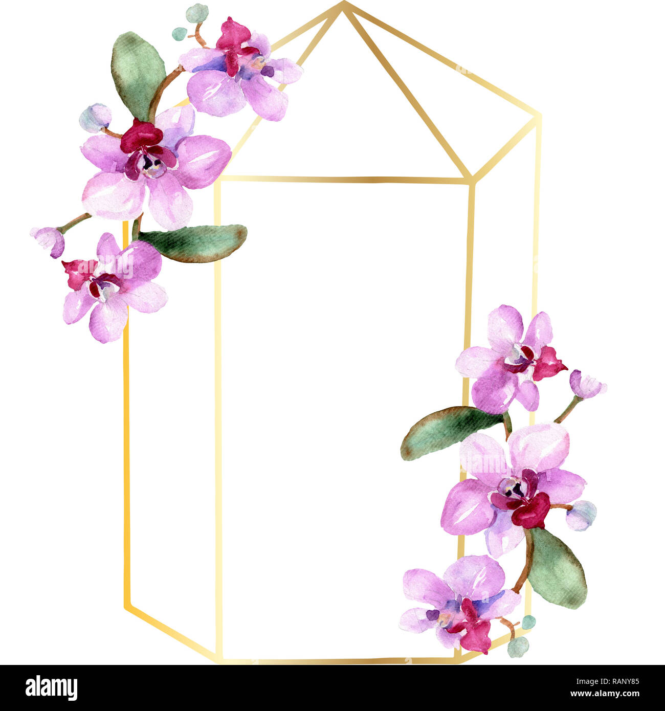 Orchid floreale di fiori botanica. Wild molla a balestra di fiori selvaggi isolati. Acquerello illustrazione dello sfondo impostato. Disegno ad acquerello fashion aquarelle è Foto Stock