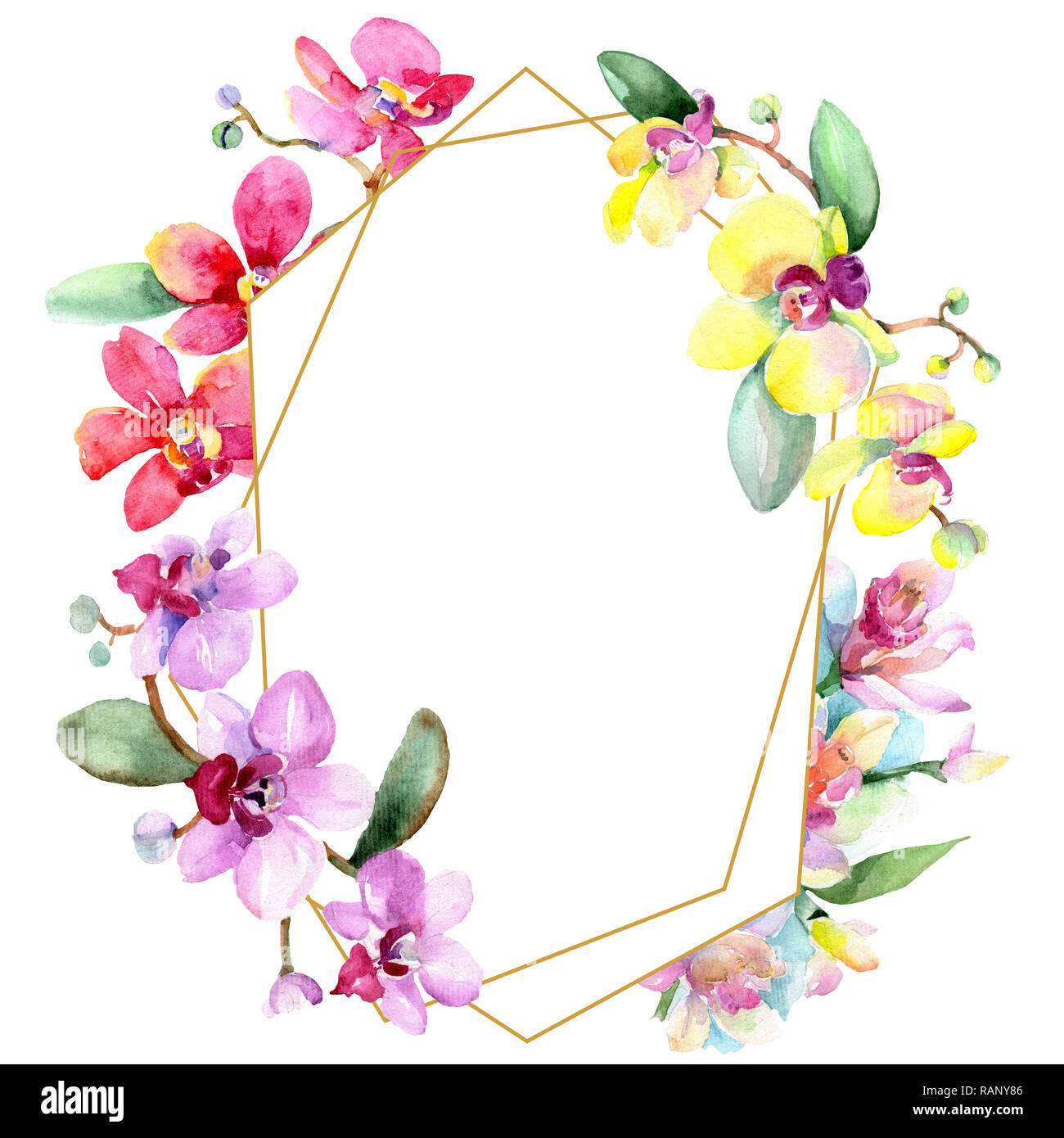 Orchid floreale di fiori botanica. Wild molla a balestra di fiori selvaggi isolati. Acquerello illustrazione dello sfondo impostato. Disegno ad acquerello fashion aquarelle è Foto Stock