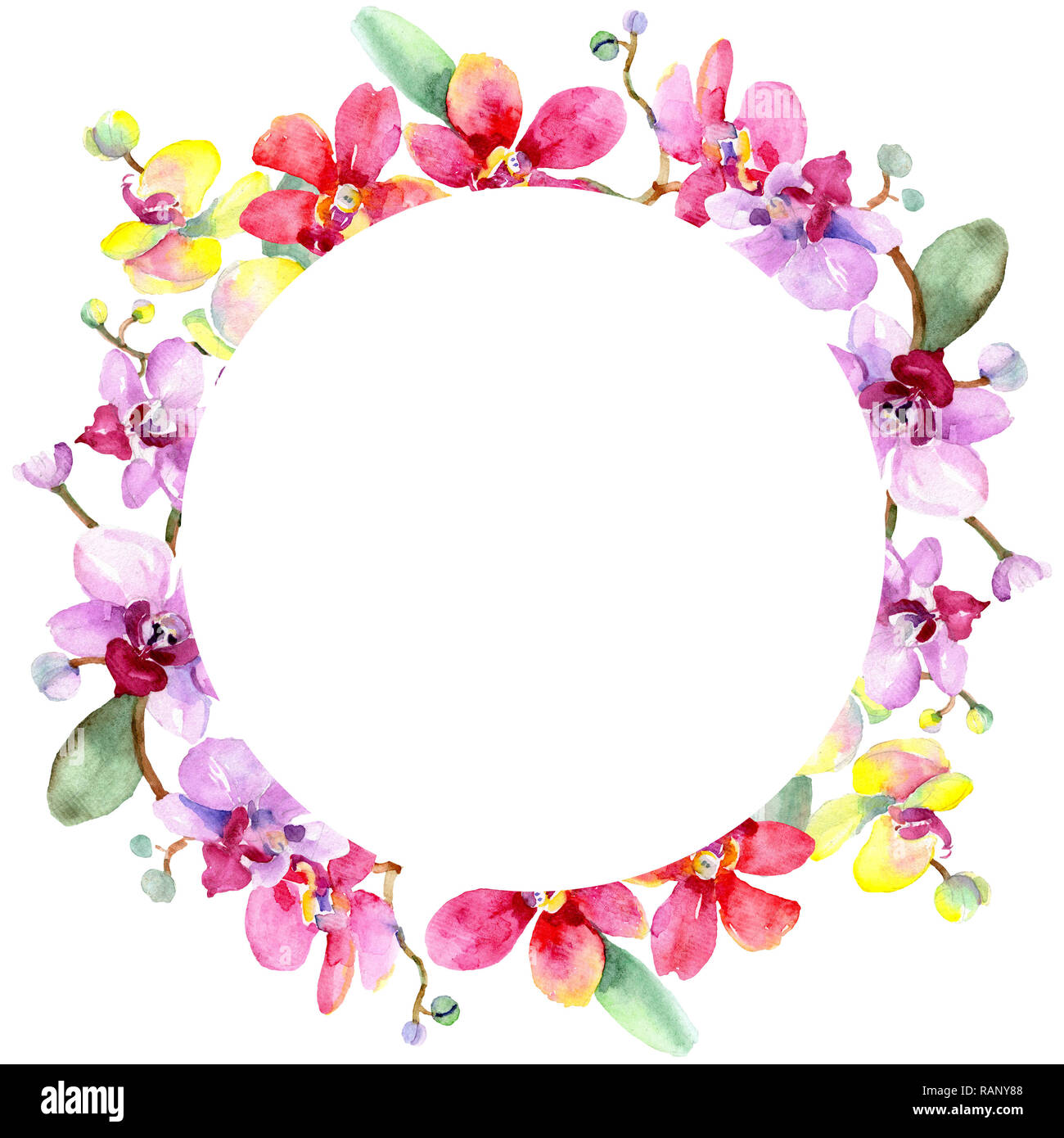 Orchid floreale di fiori botanica. Wild molla a balestra di fiori selvaggi isolati. Acquerello illustrazione dello sfondo impostato. Disegno ad acquerello fashion aquarelle è Foto Stock