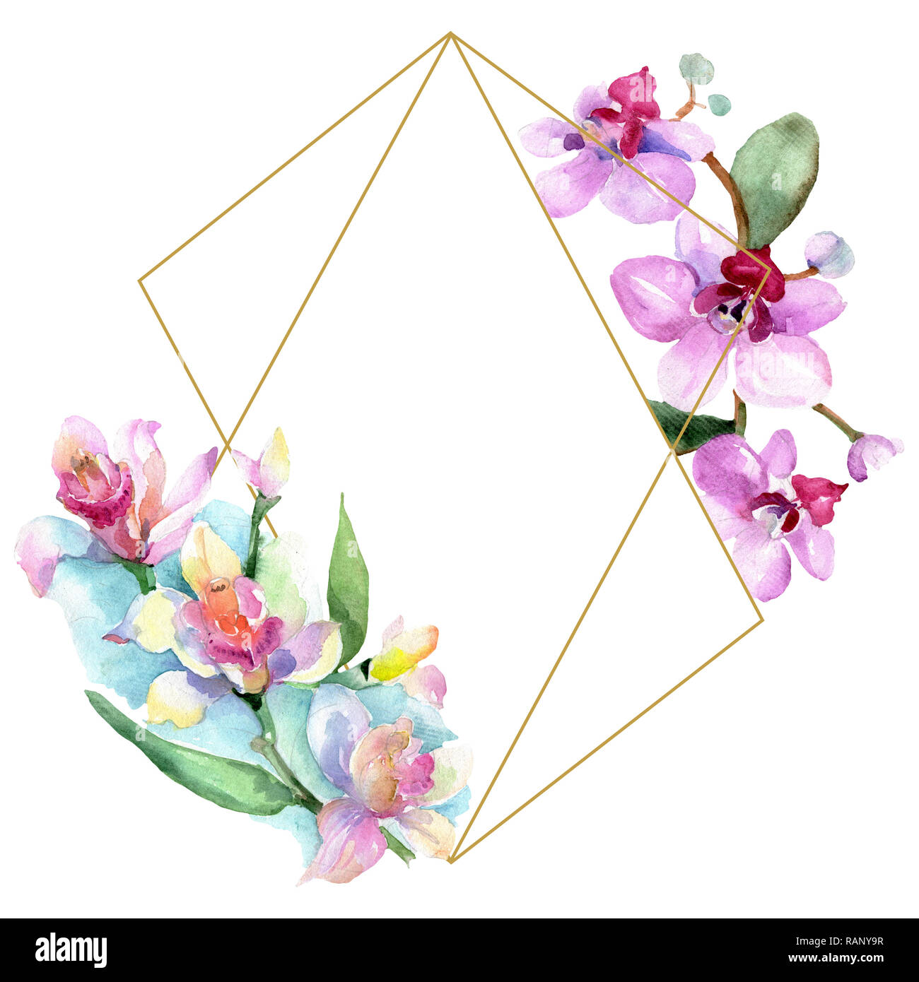 Orchid floreale di fiori botanica. Wild molla a balestra di fiori selvaggi isolati. Acquerello illustrazione dello sfondo impostato. Disegno ad acquerello fashion aquarelle è Foto Stock