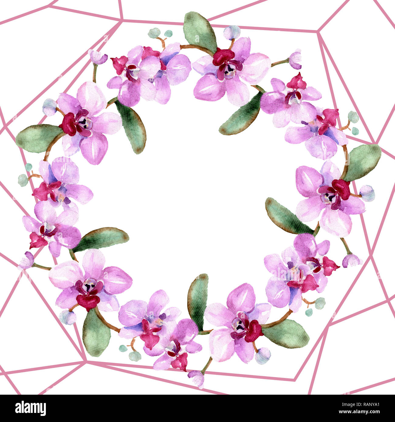 Orchid floreale di fiori botanica. Wild molla a balestra di fiori selvaggi isolati. Acquerello illustrazione dello sfondo impostato. Disegno ad acquerello fashion aquarelle è Foto Stock