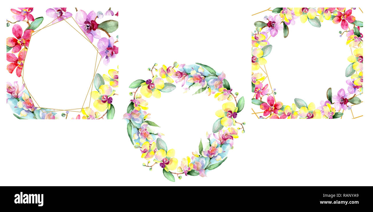 Orchid floreale di fiori botanica. Wild molla a balestra di fiori selvaggi isolati. Acquerello illustrazione dello sfondo impostato. Disegno ad acquerello fashion aquarelle è Foto Stock