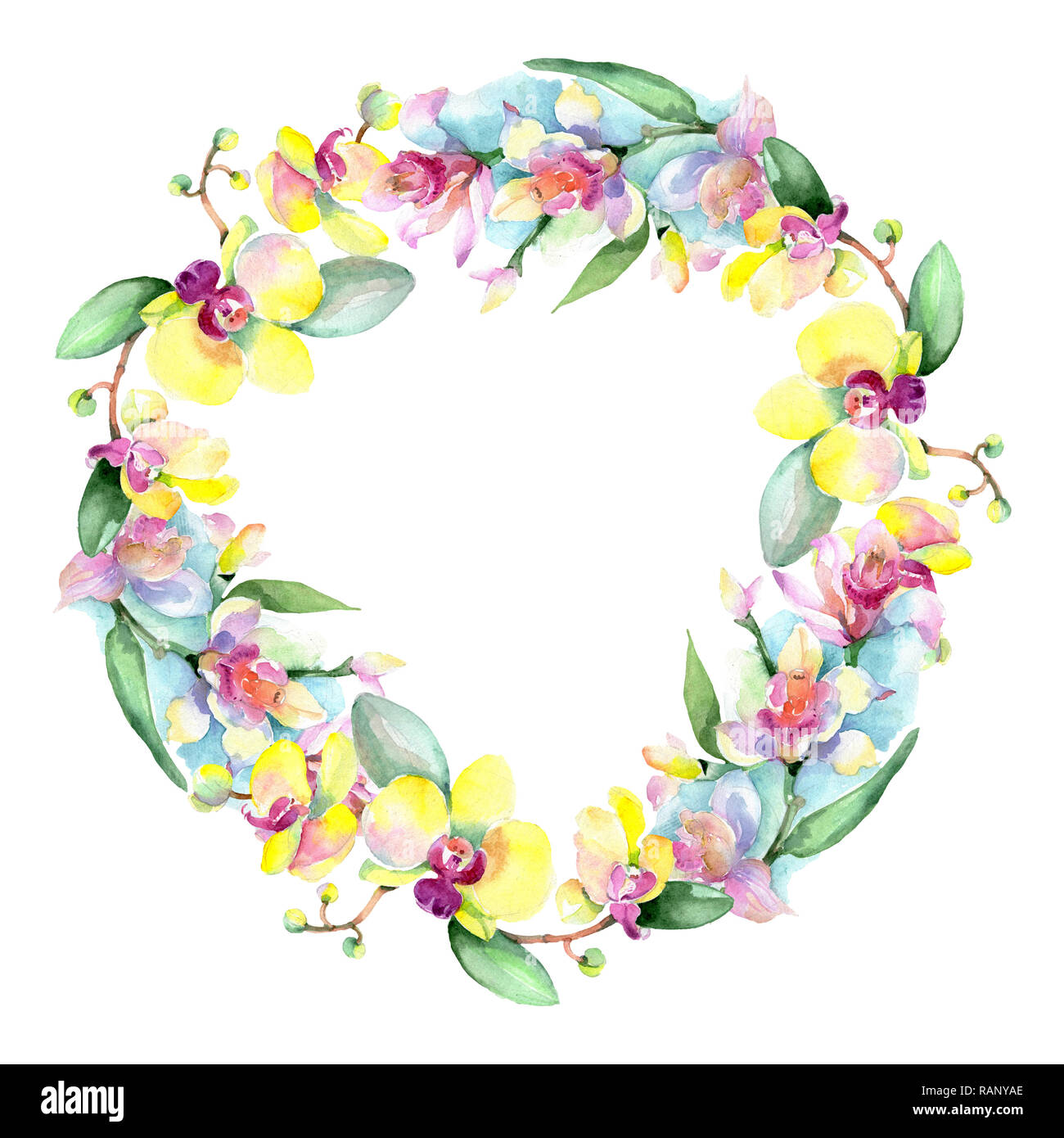 Orchid floreale di fiori botanica. Wild molla a balestra di fiori selvaggi isolati. Acquerello illustrazione dello sfondo impostato. Disegno ad acquerello fashion aquarelle è Foto Stock