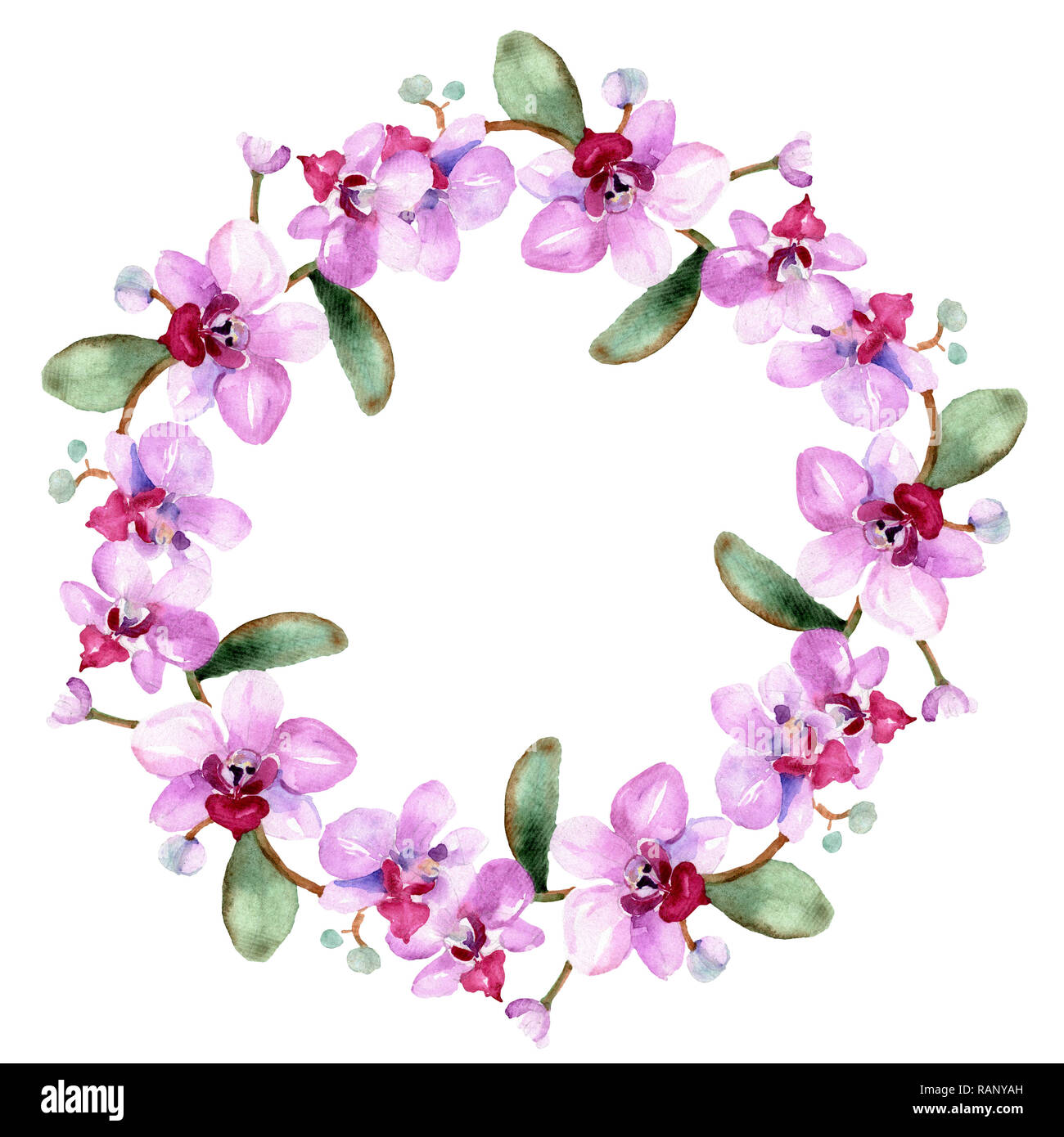 Orchid floreale di fiori botanica. Wild molla a balestra di fiori selvaggi isolati. Acquerello illustrazione dello sfondo impostato. Disegno ad acquerello fashion aquarelle è Foto Stock