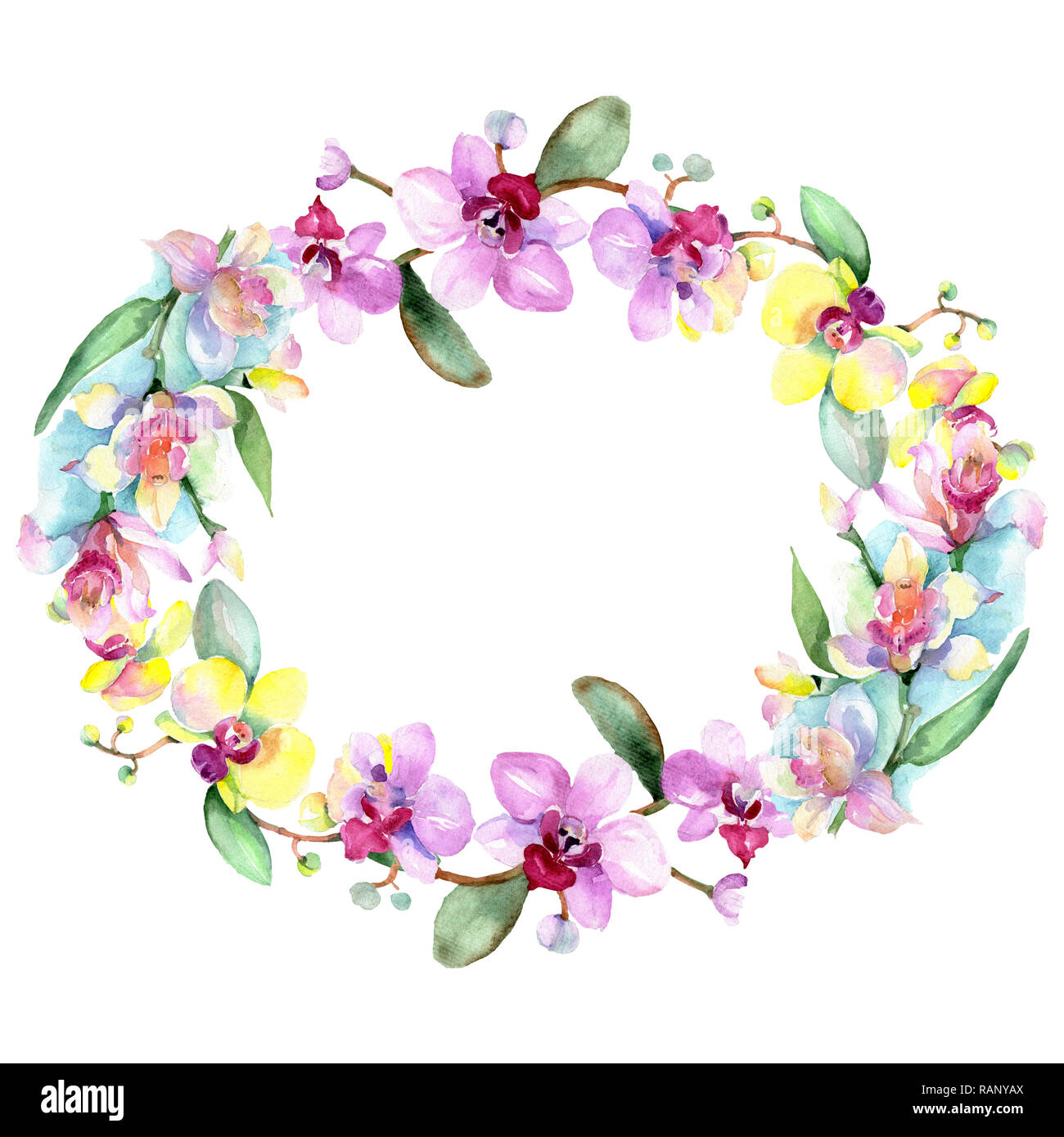 Orchid floreale di fiori botanica. Wild molla a balestra di fiori selvaggi isolati. Acquerello illustrazione dello sfondo impostato. Disegno ad acquerello fashion aquarelle è Foto Stock