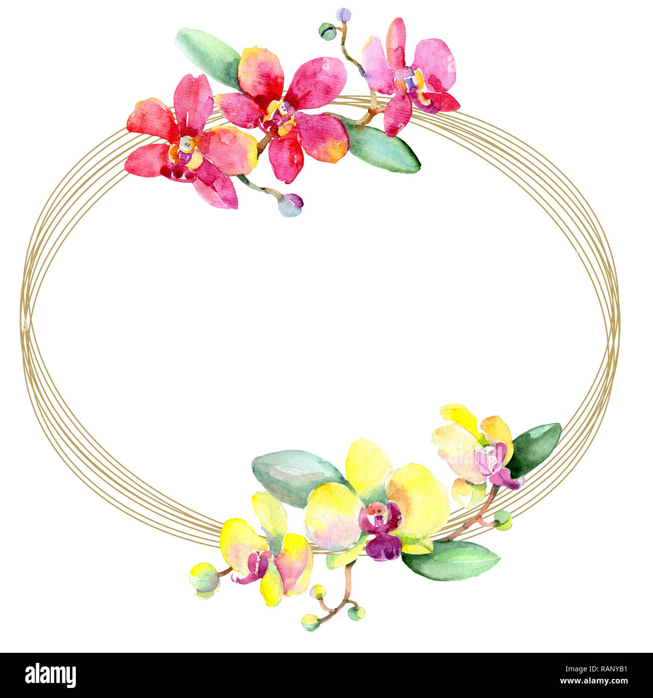 Orchid floreale di fiori botanica. Wild molla a balestra di fiori selvaggi isolati. Acquerello illustrazione dello sfondo impostato. Disegno ad acquerello fashion aquarelle è Foto Stock