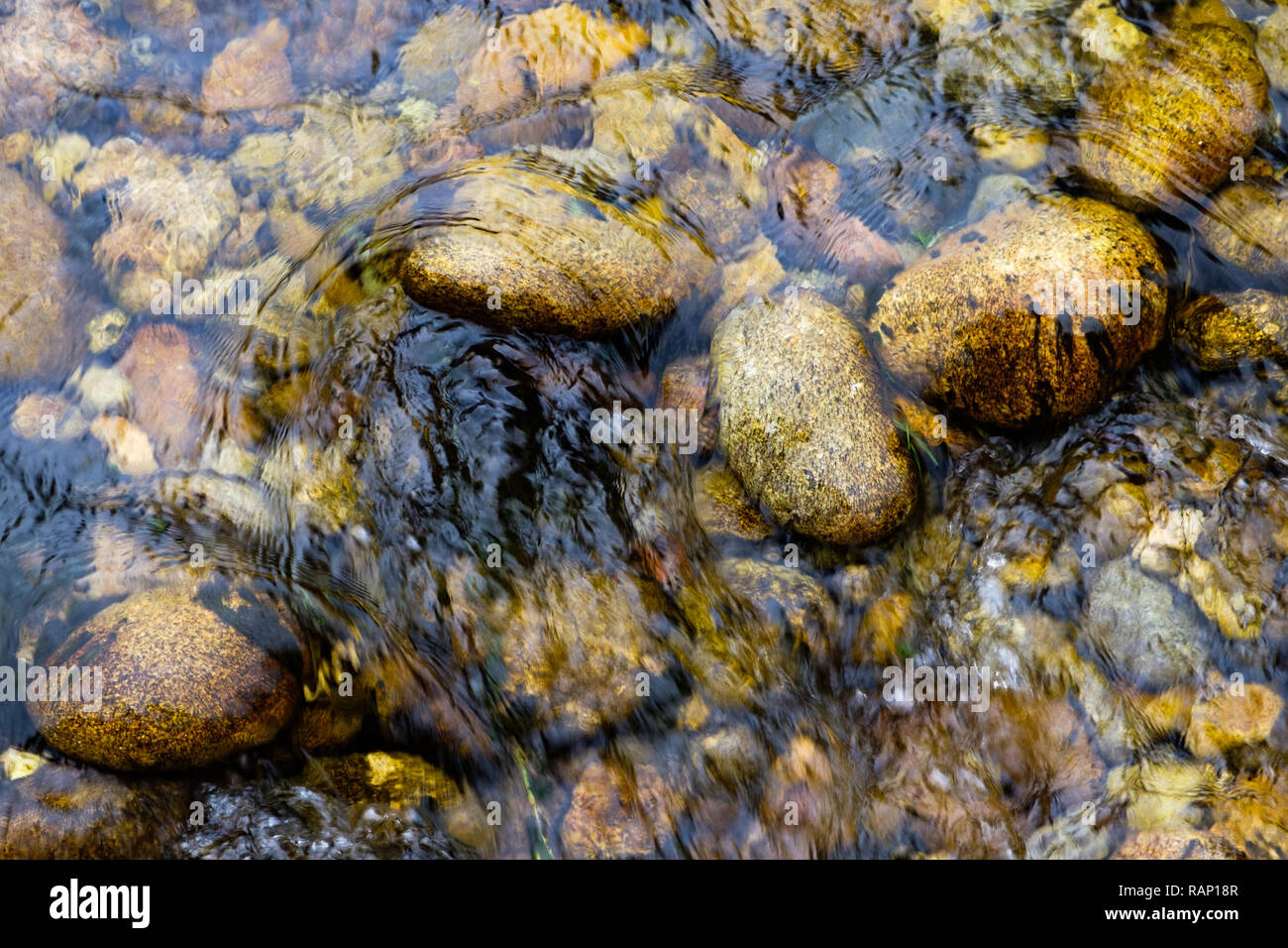 Pietre sul fondo di fiume Foto Stock