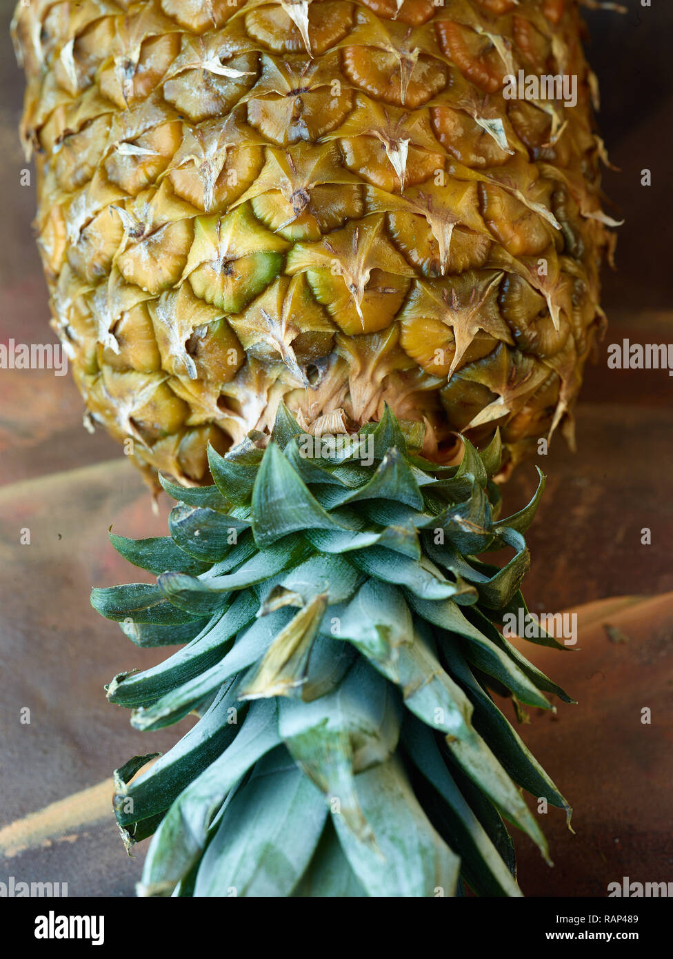 Close-up di ananas frutta mostra profilo della pelle flecks cibo still-life fotografia Foto Stock