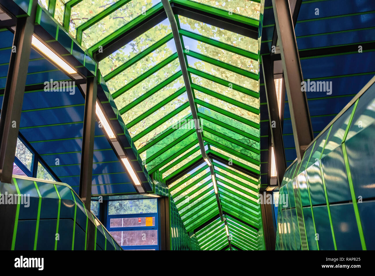Hermannstrasse S-Bahn stazione ferroviaria dettaglio interni, soffitto in vetro con il blu del cielo e alberi vernice - Neukölln, Berlino Foto Stock