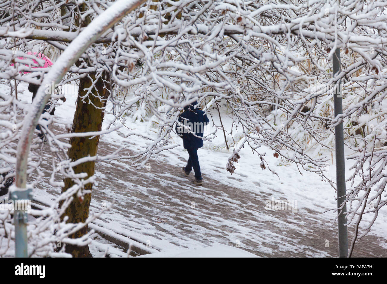 La gente che camminava sul marciapiedi dopo una nevicata (rami in primo piano). Foto Stock