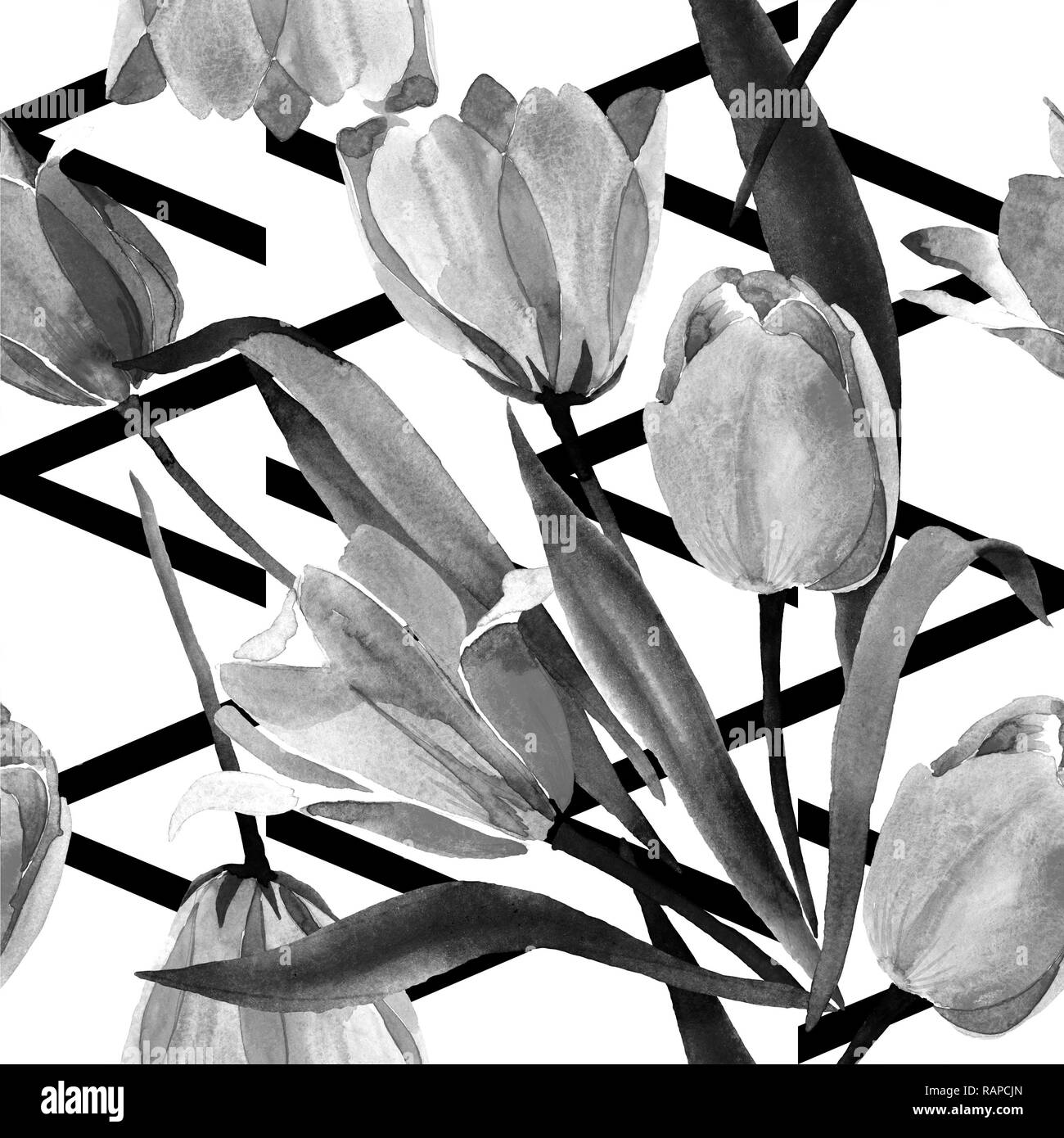 Tulipani gialli. Floreale di fiori botanica. Wild molla a balestra di fiori selvaggi isolati. Acquerello illustrazione dello sfondo impostato. Disegno ad acquerello fashion aqua Foto Stock