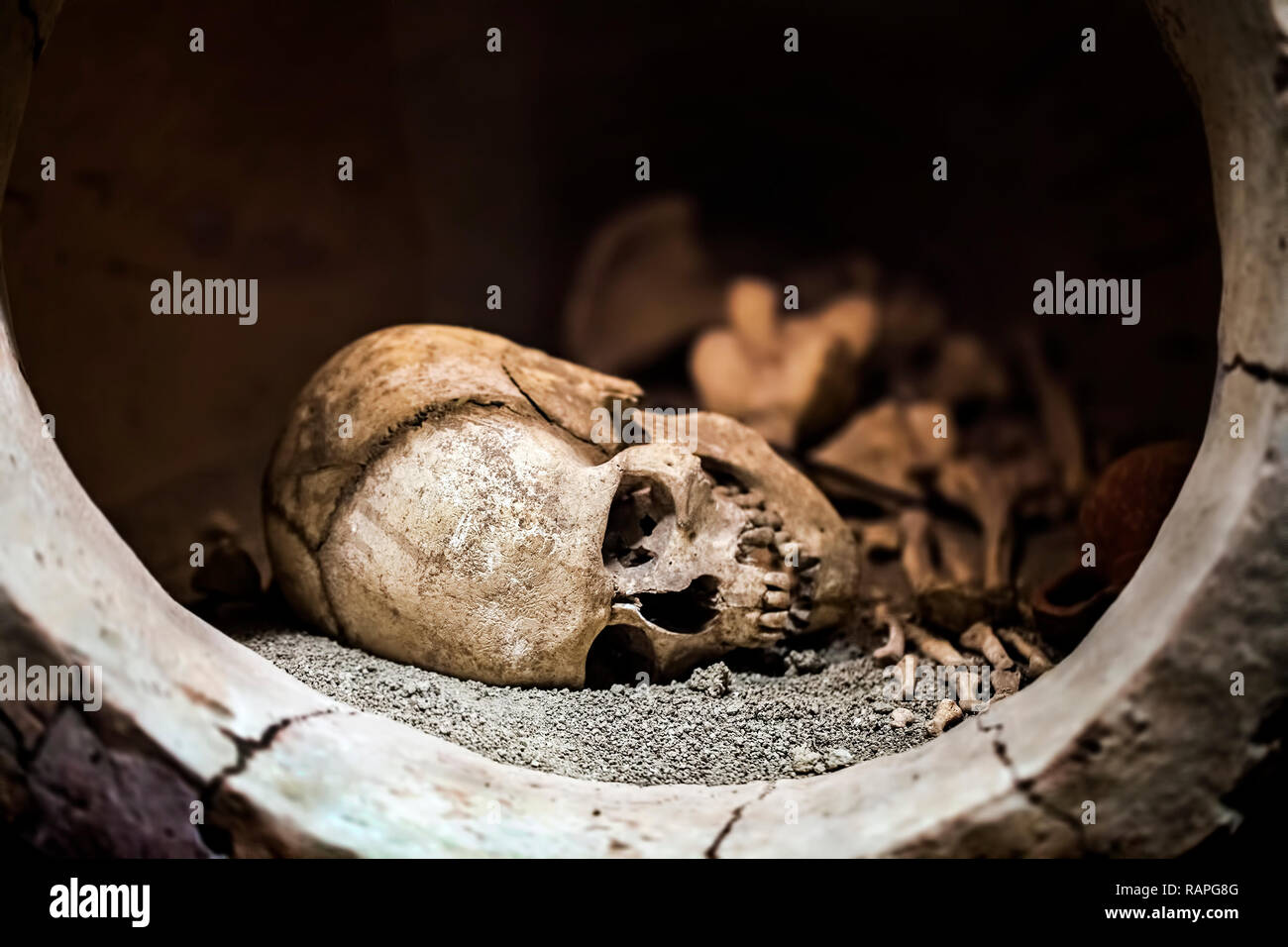 Morte umana le ossa dello scheletro cranio e foto Foto Stock