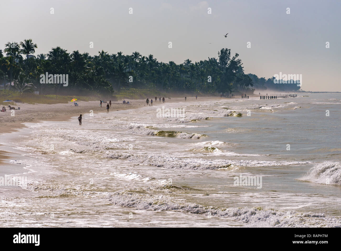 Vista dei turisti su Napoli Beach, Florida, con la sua sabbia bianca e il mare turchese in una giornata di sole come si vede dal famoso molo, popolare luogo di pesca. Foto Stock