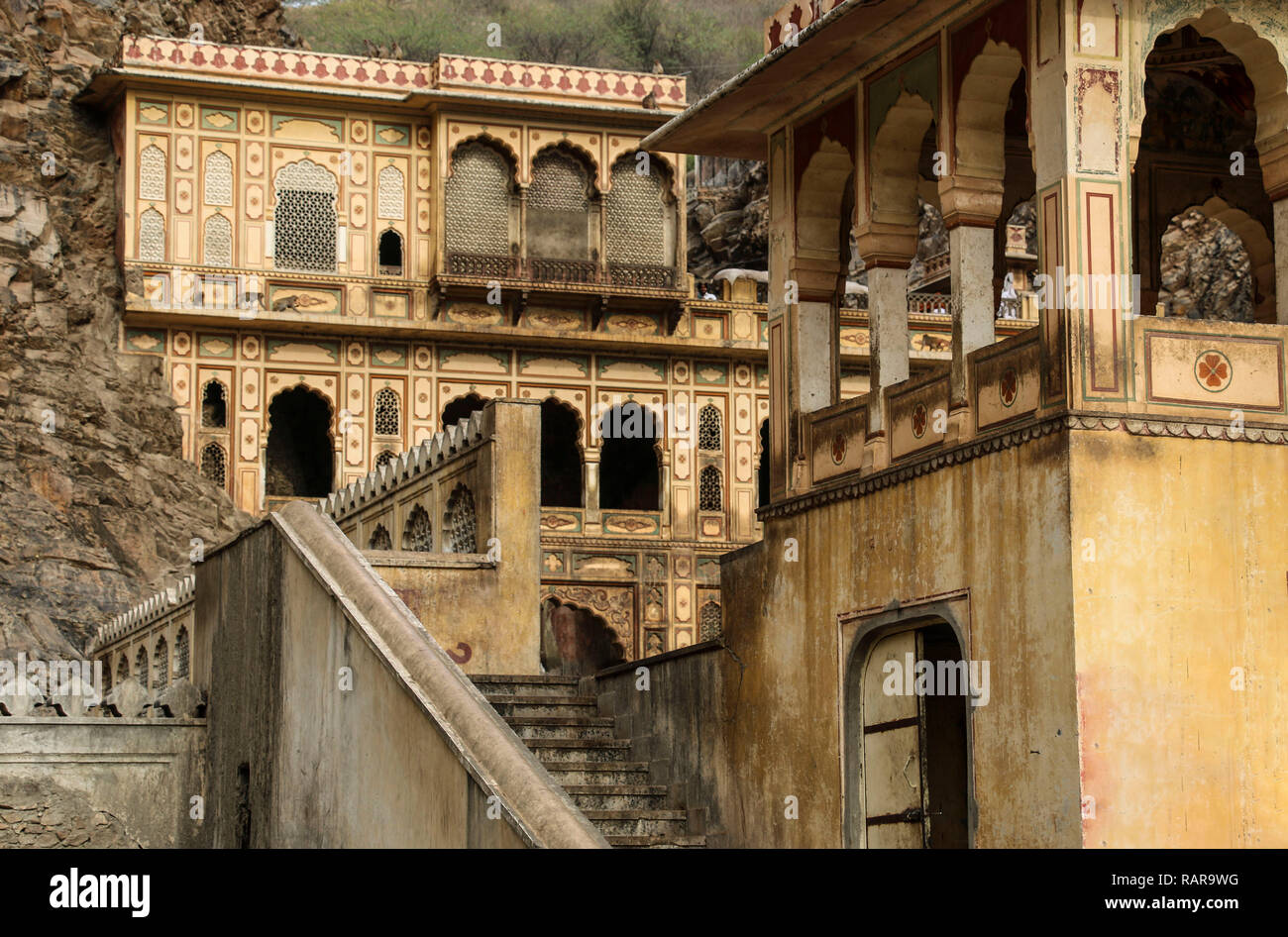 Galta Tempio o Galtaji (scimmie tempio) India Foto Stock