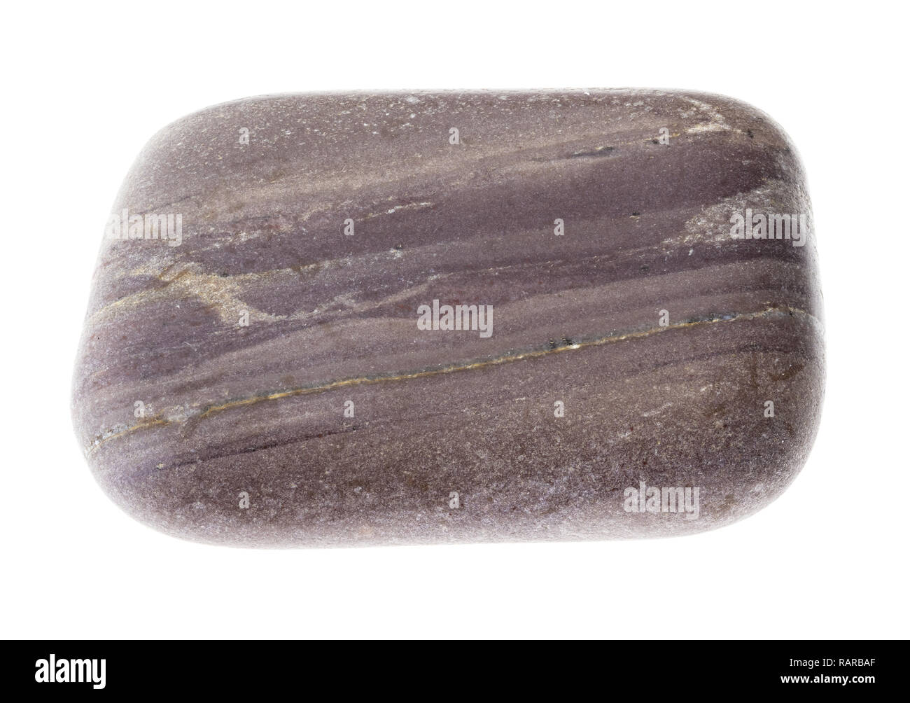 La fotografia macro di naturale minerale da collezione geologica - lucidato argillite (mudstone) pietra su sfondo bianco Foto Stock
