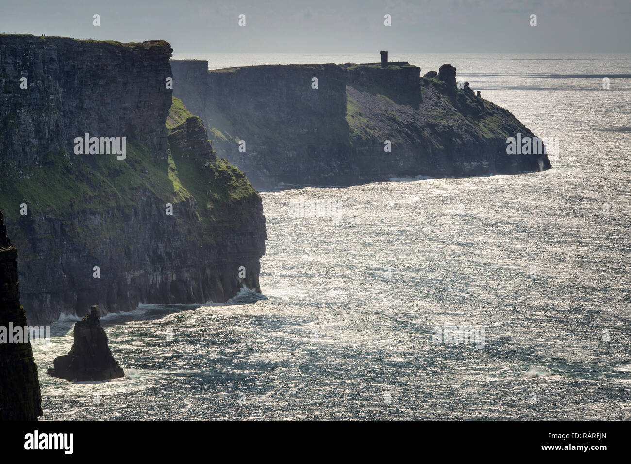 Scogliere di Moher, Co. Clare, Irlanda Foto Stock