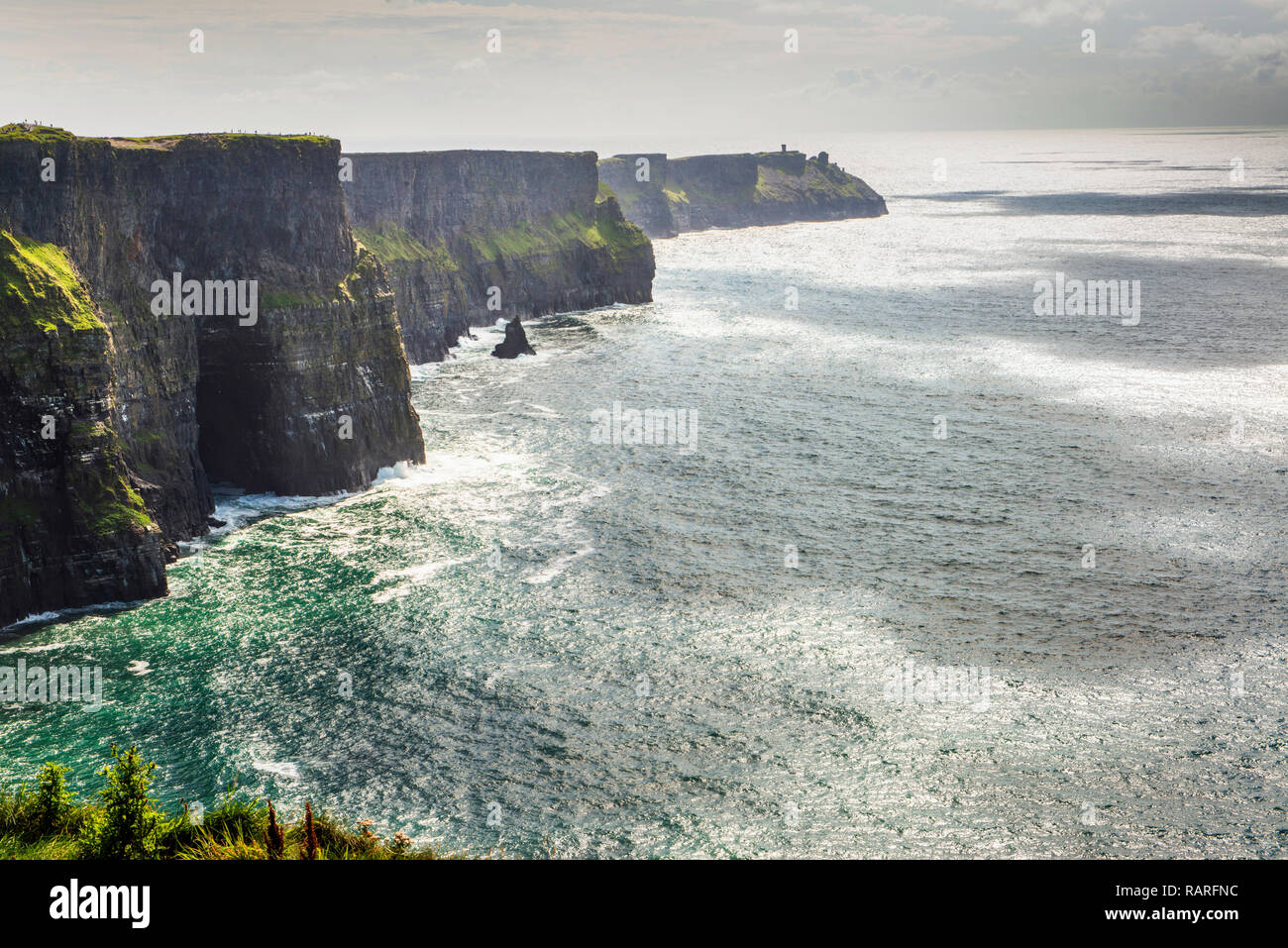 Scogliere di Moher Co. Clare Irlanda Foto Stock