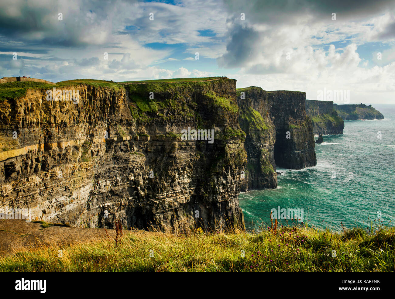 Scogliere di Moher, Co. Clare, Irlanda Foto Stock