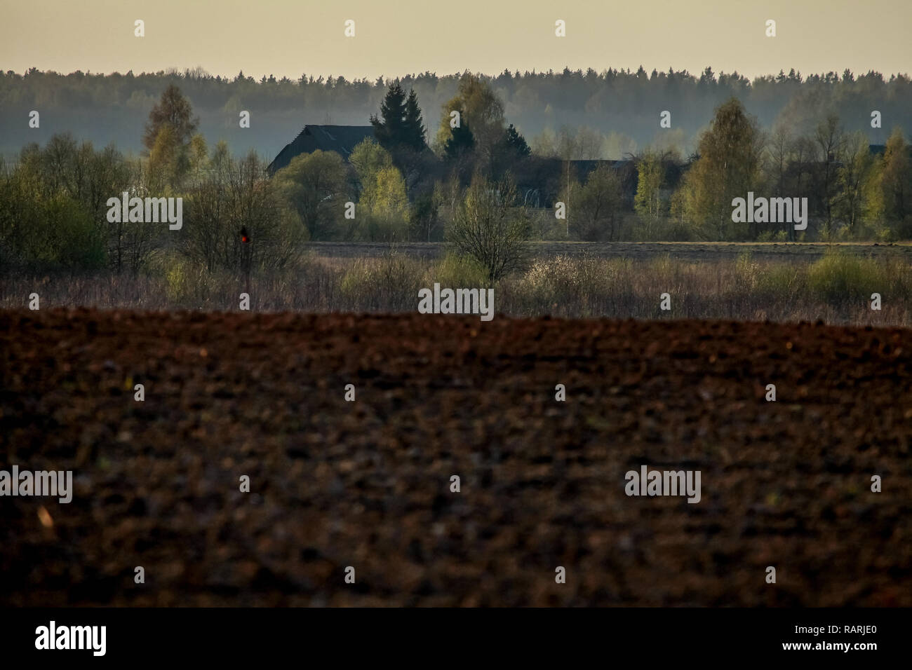 Paesaggio di primavera con campo arato. Arato campo di cereali con nebbia in primavera. Classico paesaggio rurale in Lettonia. Campo Arato nella stagione primaverile. Foto Stock