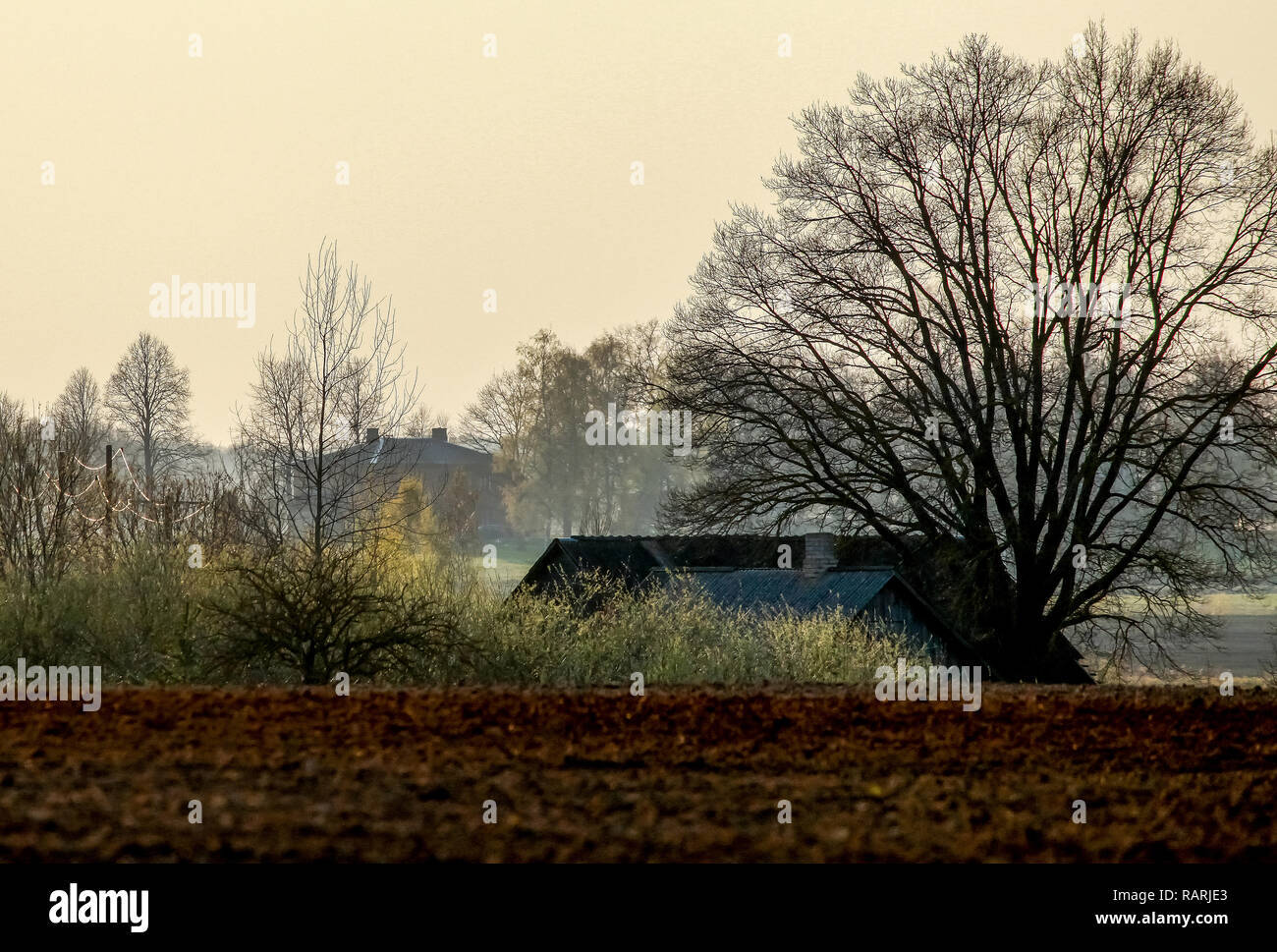 Paesaggio di primavera con campo arato. Arato campo di cereali con nebbia in primavera. Classico paesaggio rurale con campo di Misty e country house in Lettonia. Foto Stock