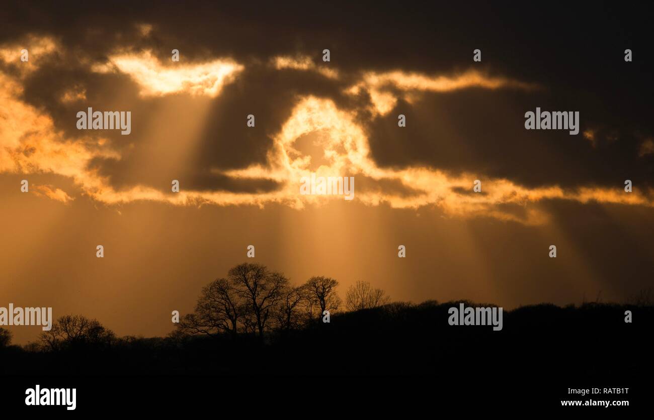 Tramonto sulla campagna di Cheshire Foto Stock