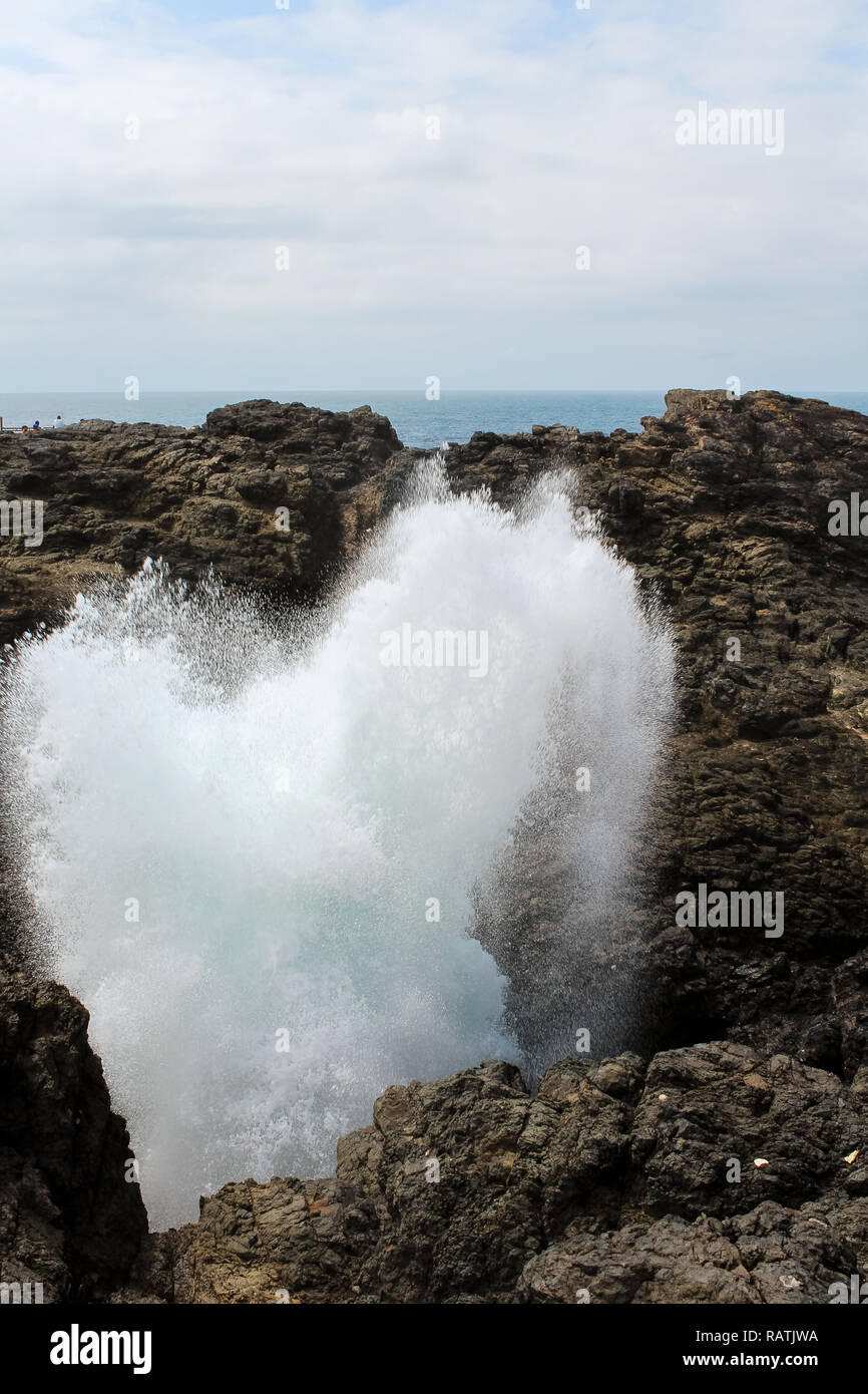 Chiusura del colpo grosso foro con fontana di acqua nel pittoresco villaggio di Kiama vicino a Jervis Bay su una soleggiata giornata di primavera (Jervis Bay, Australia) Foto Stock