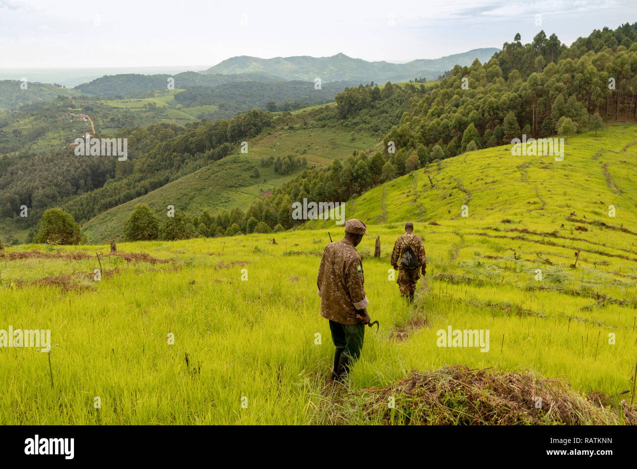 Park Rangers alla periferia della Foresta impenetrabile di Bwindi, Bwindi, Uganda, Africa Foto Stock