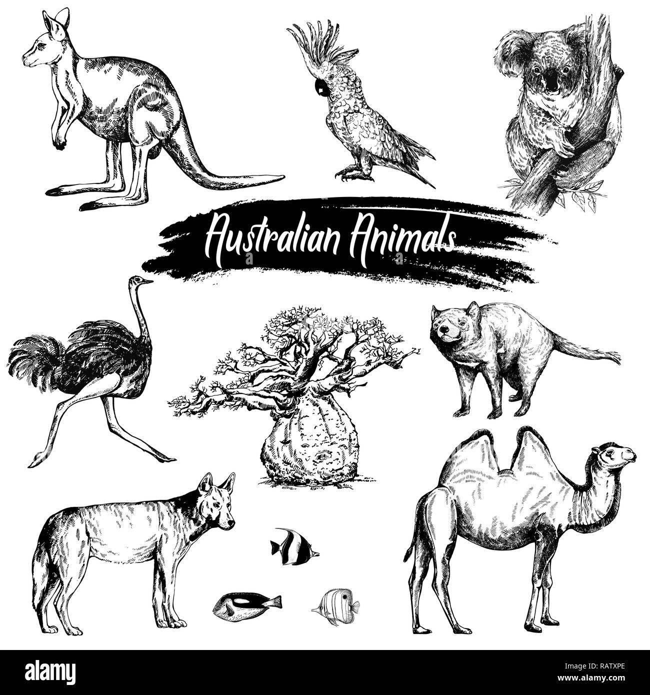 Set di disegnato a mano stile sketch animali Australiani isolati su sfondo bianco. Illustrazione Vettoriale. Illustrazione Vettoriale