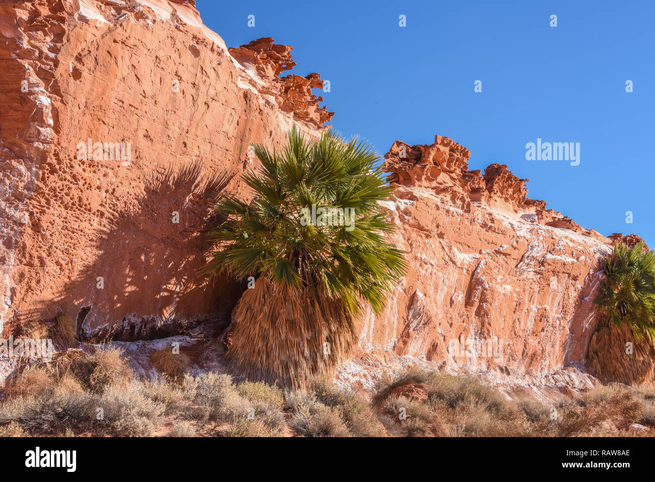 Gold Butte National Monument, piccola Finlandia Foto Stock