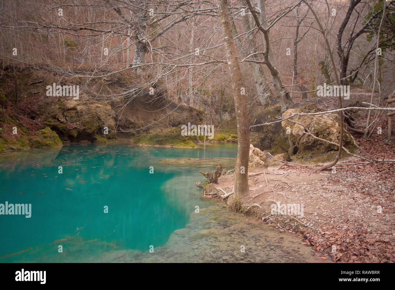 Urederra river in Navarra, Spagna Foto Stock