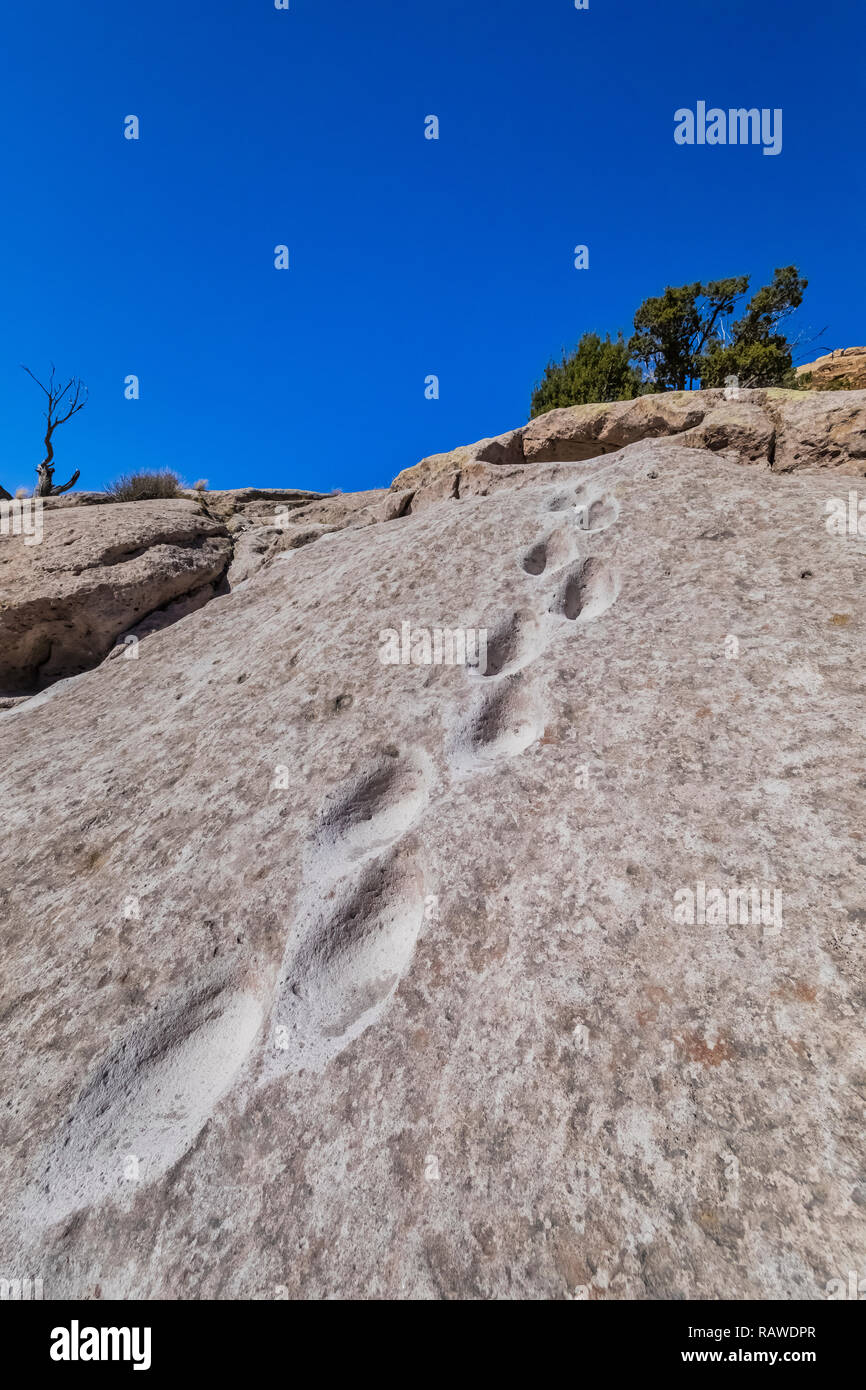 Antica appigli indossato in pietra da Puebloans ancestrale al Tsankawi siti preistorici Bandelier National Monument vicino a Los Alamos, Nuovo Messico Foto Stock