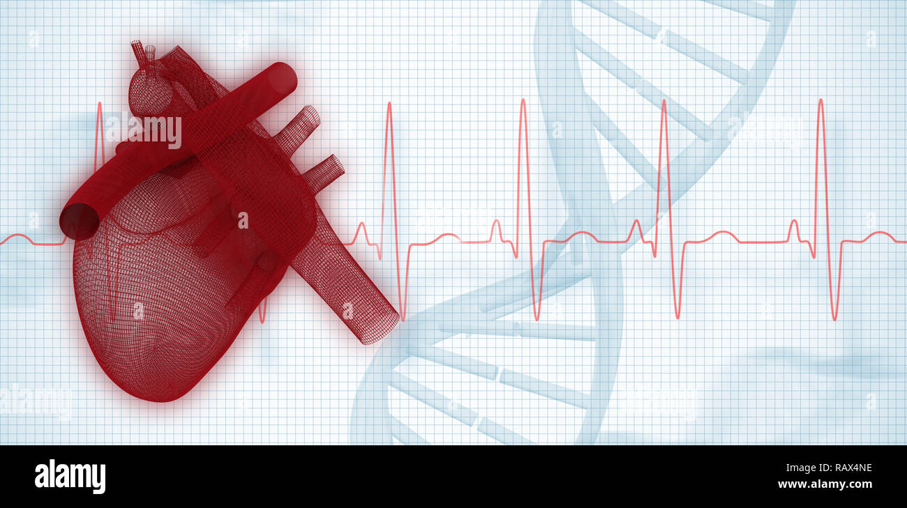 Immagine composita di immagine 3d del cuore umano Foto Stock