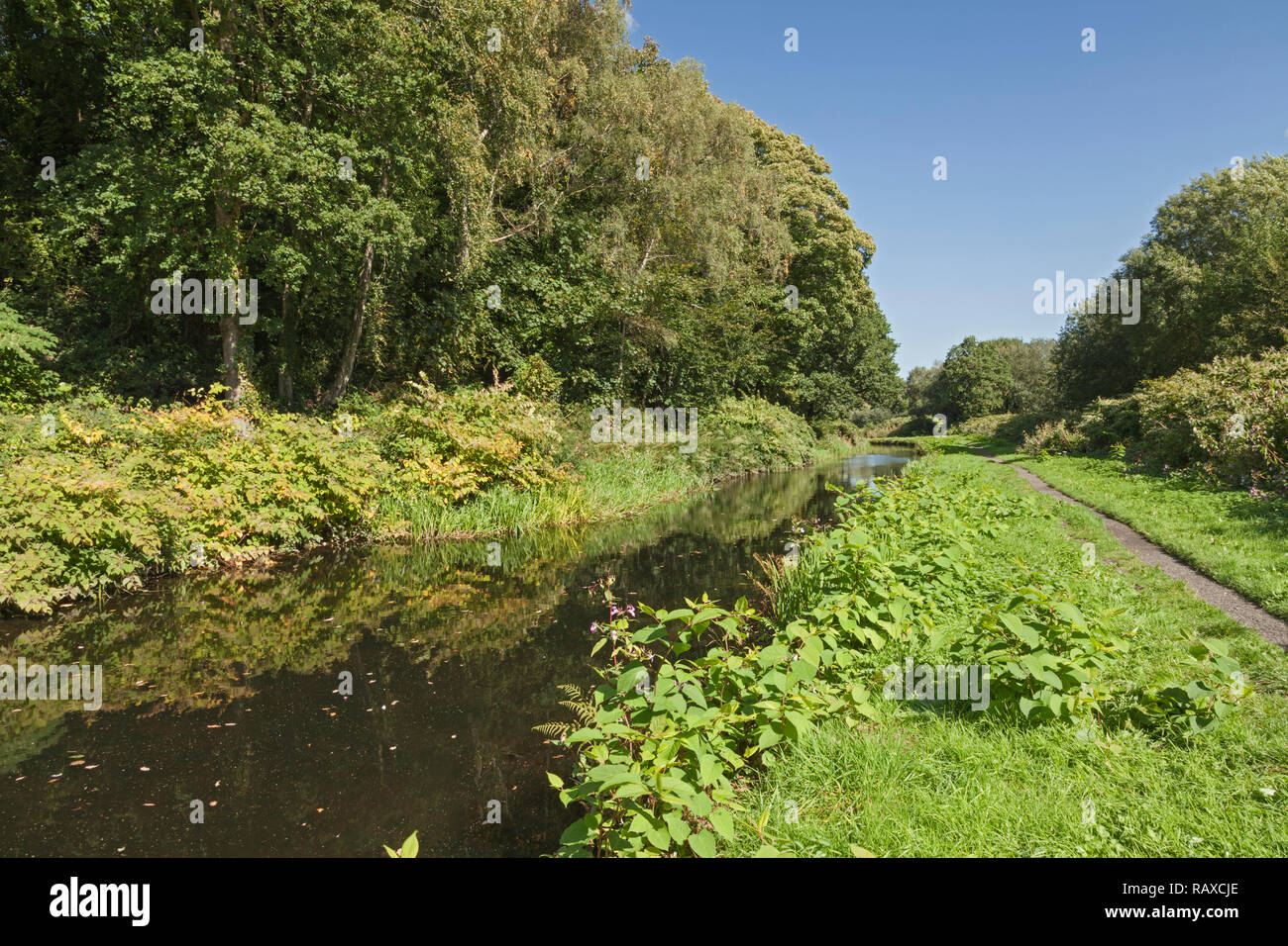 Tennant canale vicino Neath, Neath Port Talbot, South Wales, Regno Unito Foto Stock