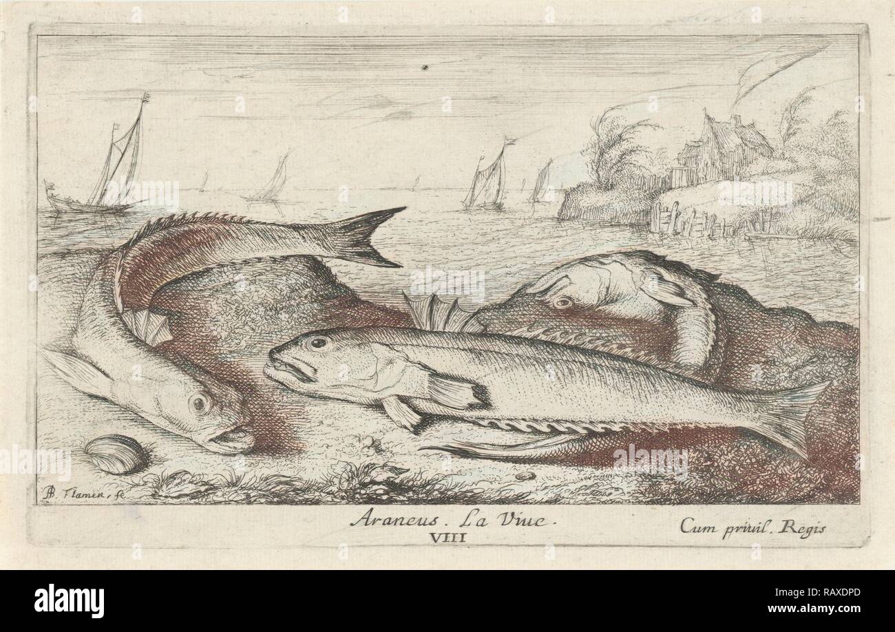 Weeverfish, Trachinidae sulla spiaggia, Albert Flamen, 1664. Reinventato da Gibon. Arte Classica con un tocco di moderno reinventato Foto Stock