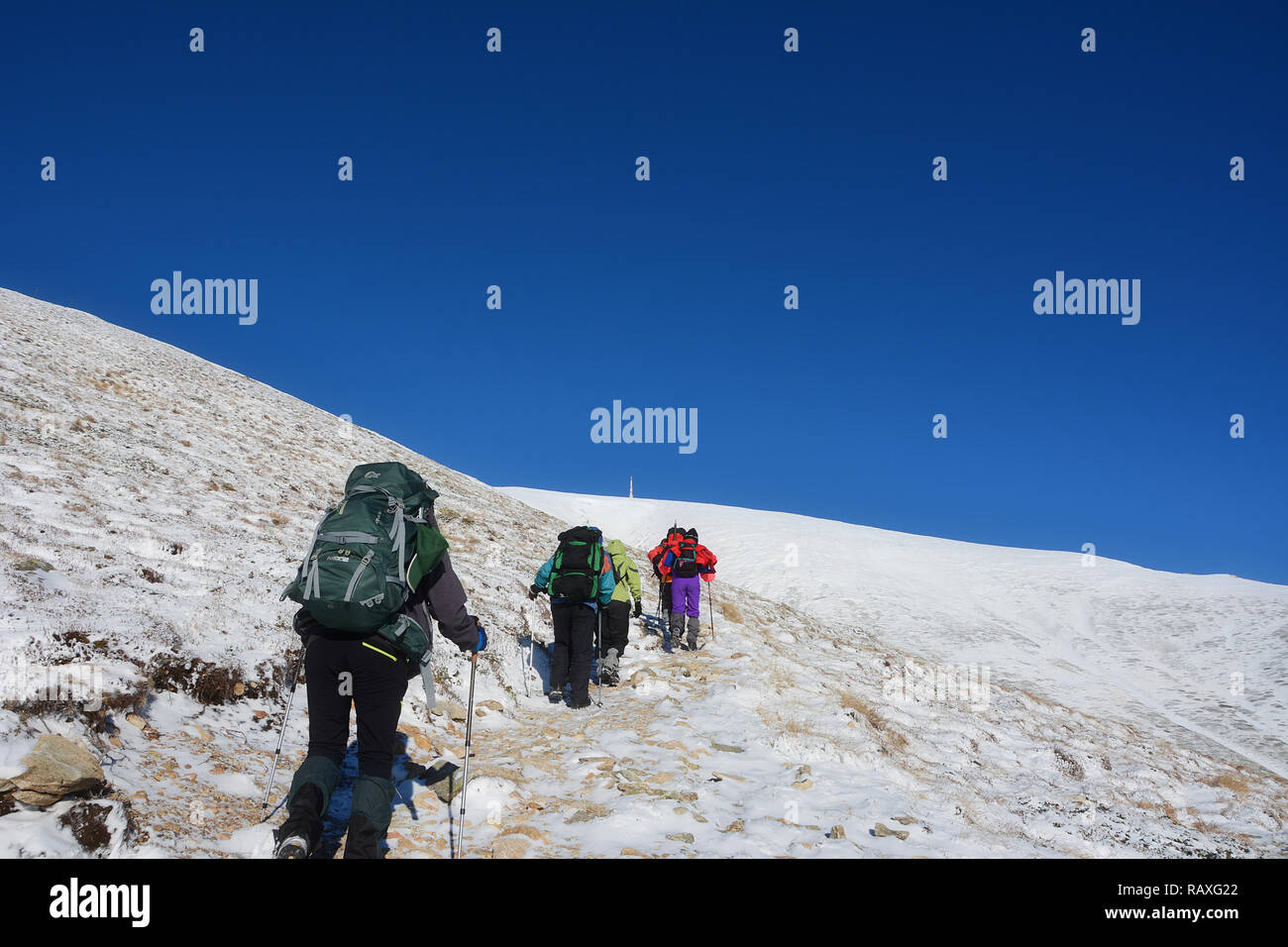 Il Trekking invernale sulla neve, Botev - picco massimo nella vecchia montagna, Bulgaria Foto Stock
