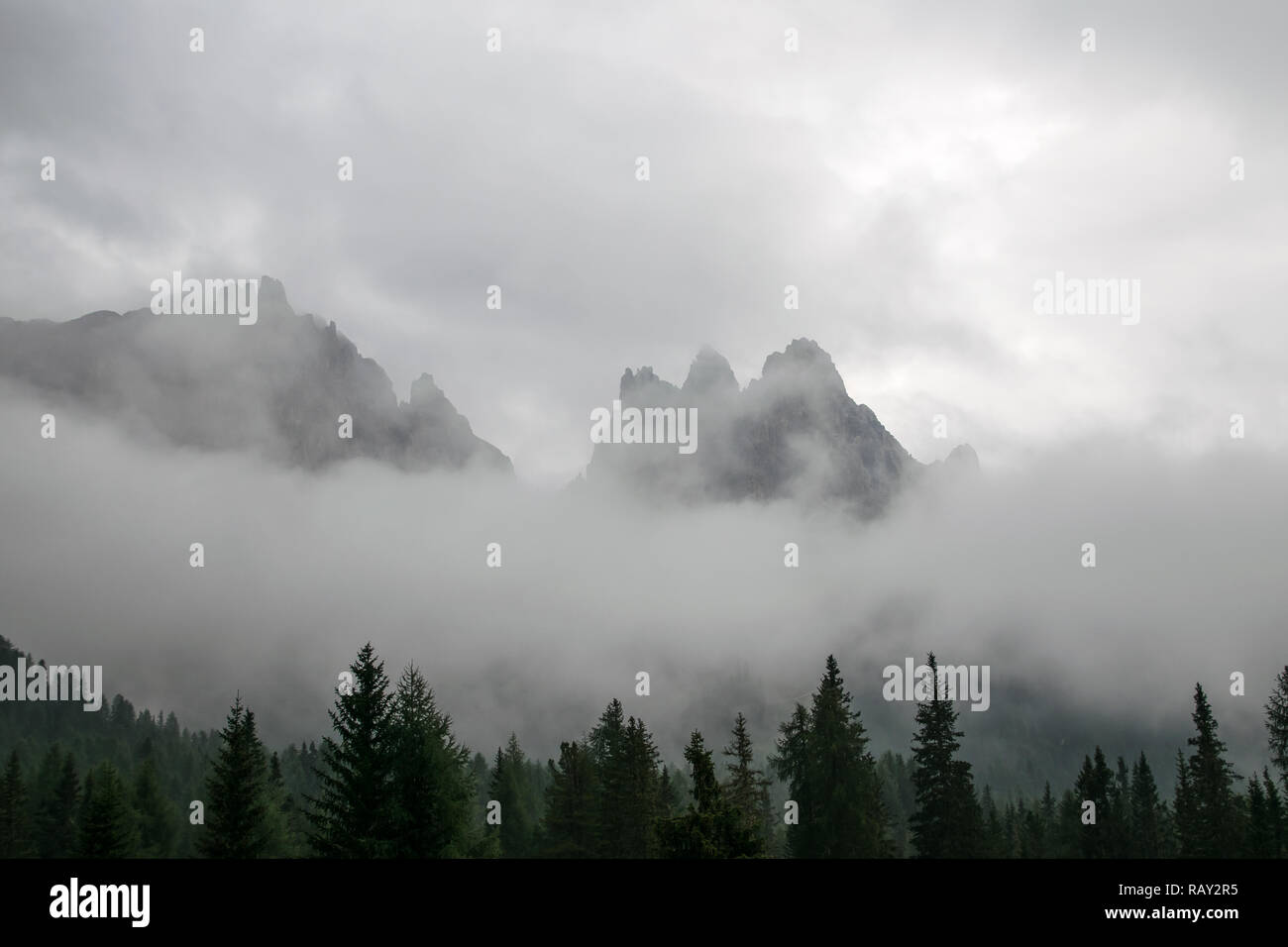 catena montuosa rocciosa coperta di nuvole e primi in primo piano Foto Stock