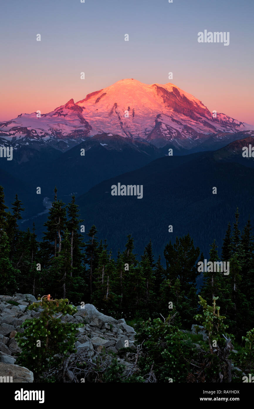 WA15648-00...WASHINGTON - Smoky alba visto dall'area sommitale del cristallo Mountain Resort nel Mt. Baker-Snoqualmie National Forest. Foto Stock