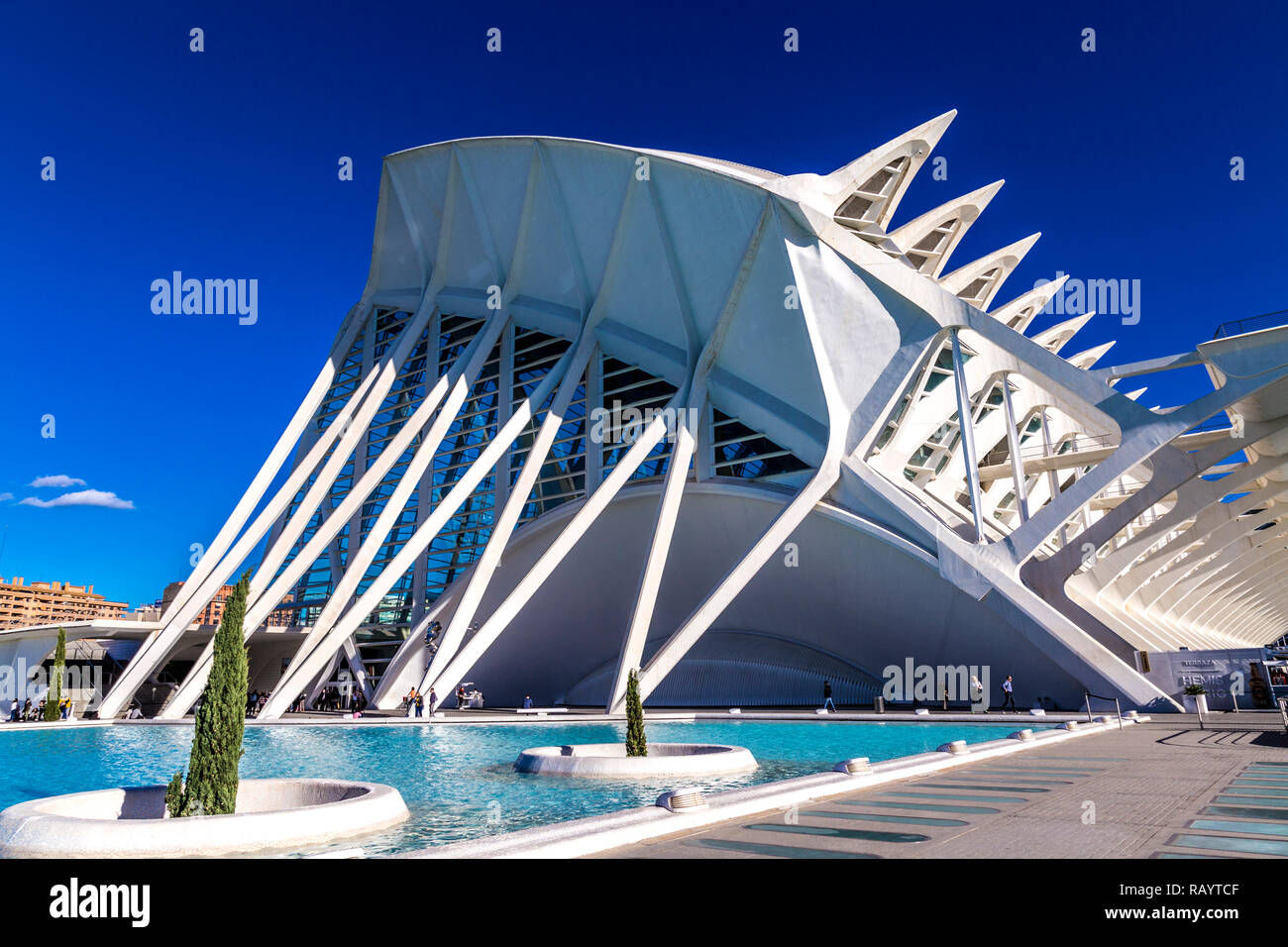 Il Museu de les Ciències Príncipe Felipe (il Principe Filippo del Museo della Scienza) nella Città delle Arti e delle Scienze di Valencia, Spagna Foto Stock