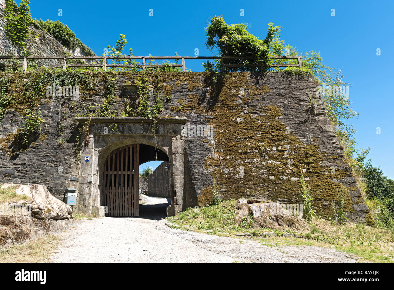Le rovine del castello Konigstein Taunus, vista interna, Hesse,Germania Foto Stock
