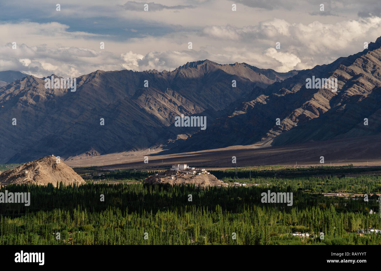 Le montagne con paesaggio forestale con antico tempio sulla montagna in Leh, Ladakh in India Foto Stock