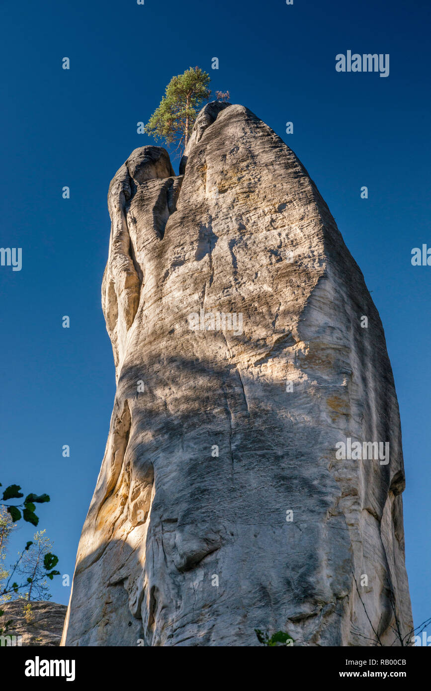 Torre di pietra arenaria a Adršpach le Rocce di Adršpach-Teplice Rocks Riserva Naturale Nazionale, Central Sudetes, Bohemia Repubblica Ceca Foto Stock