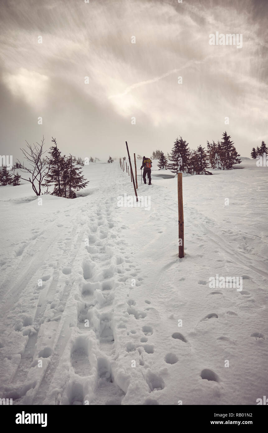 Paesaggio montano invernale durante una bufera di neve, tonificazione del colore applicato, monti Karkonosze, Polonia. Foto Stock